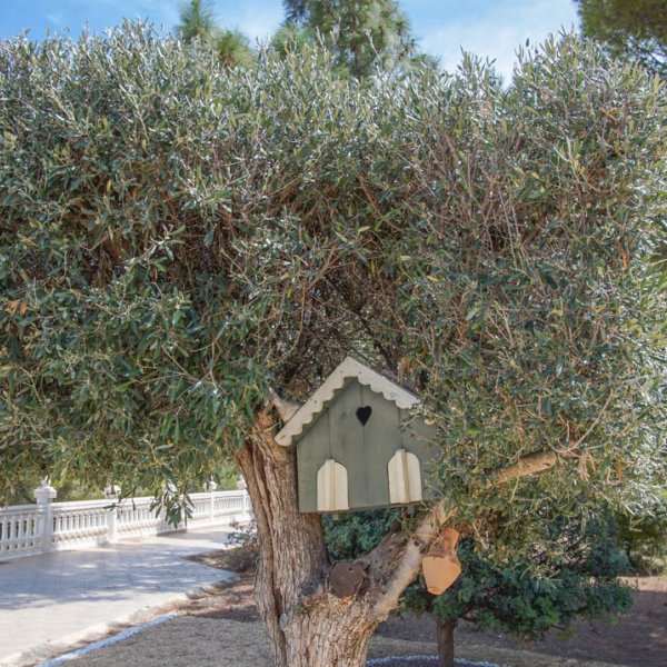 Villa in La Nucia-53
