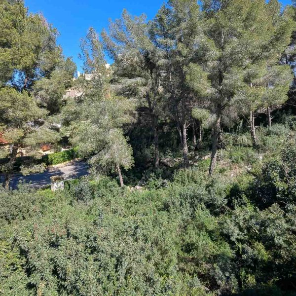 Villa in Pedreguer-27