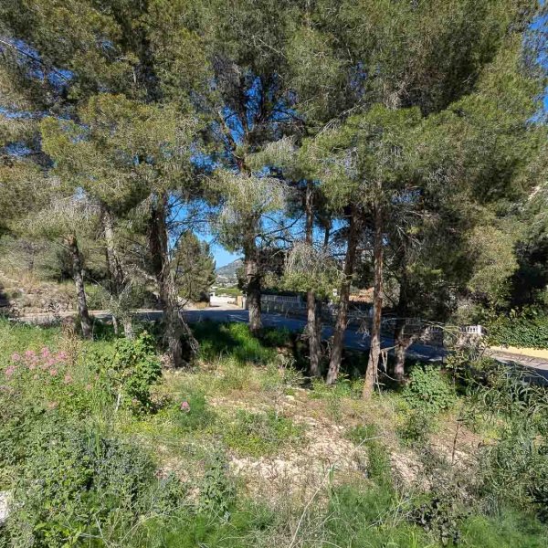Villa in Pedreguer-23