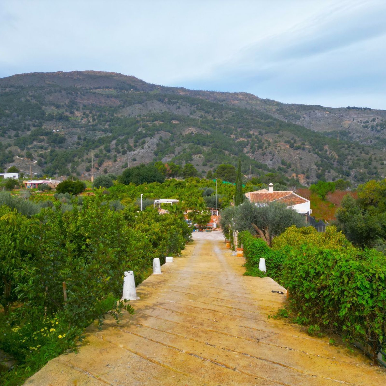Villa in Vélez de Benaudalla-36