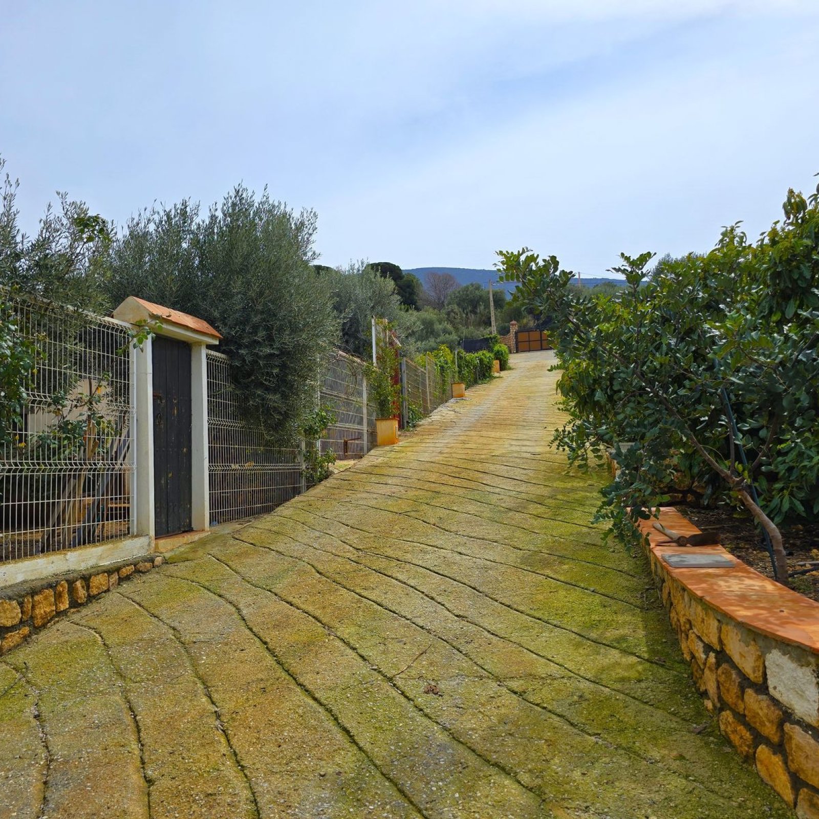 Villa in Vélez de Benaudalla-37