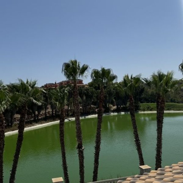 Villa in Orihuela Costa-19