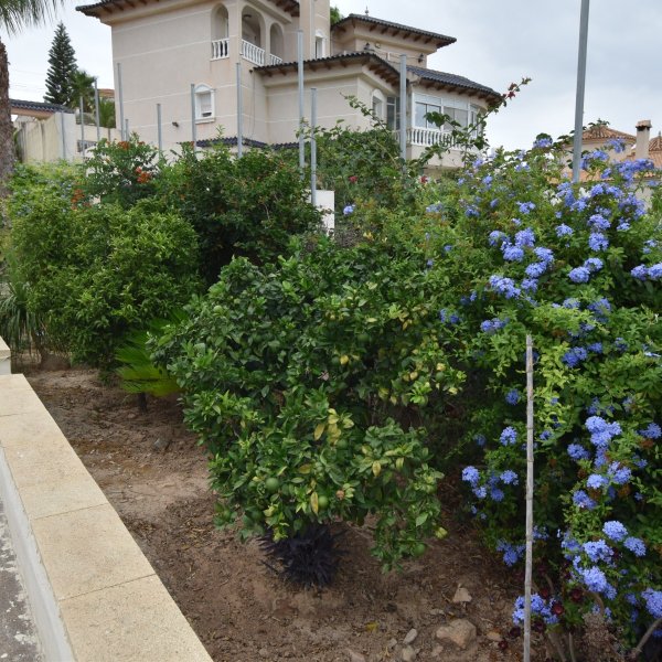 Villa in Algorfa-39