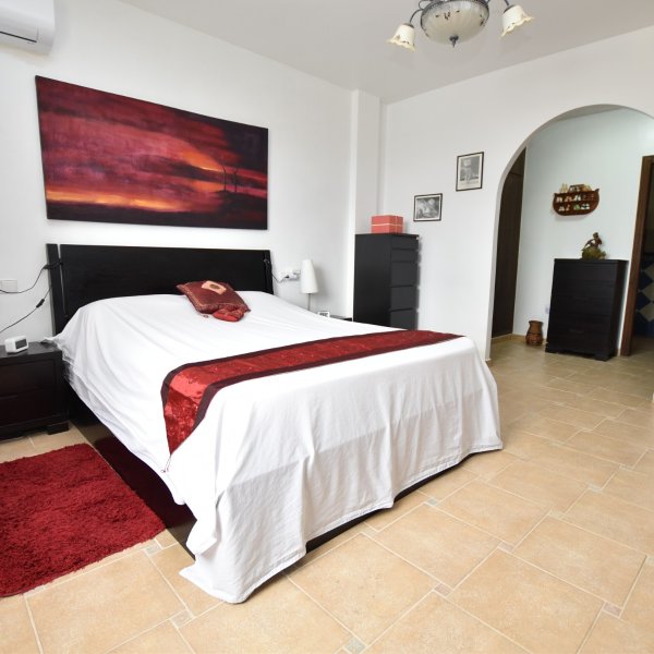 Villa in Algorfa-6