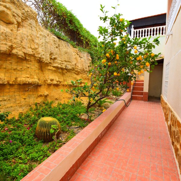 Villa in Algorfa-49