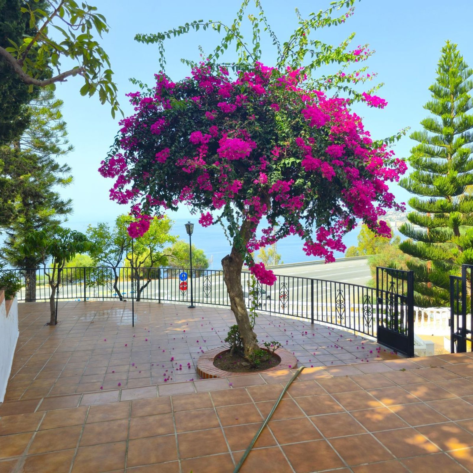 Villa in Salobreña-46