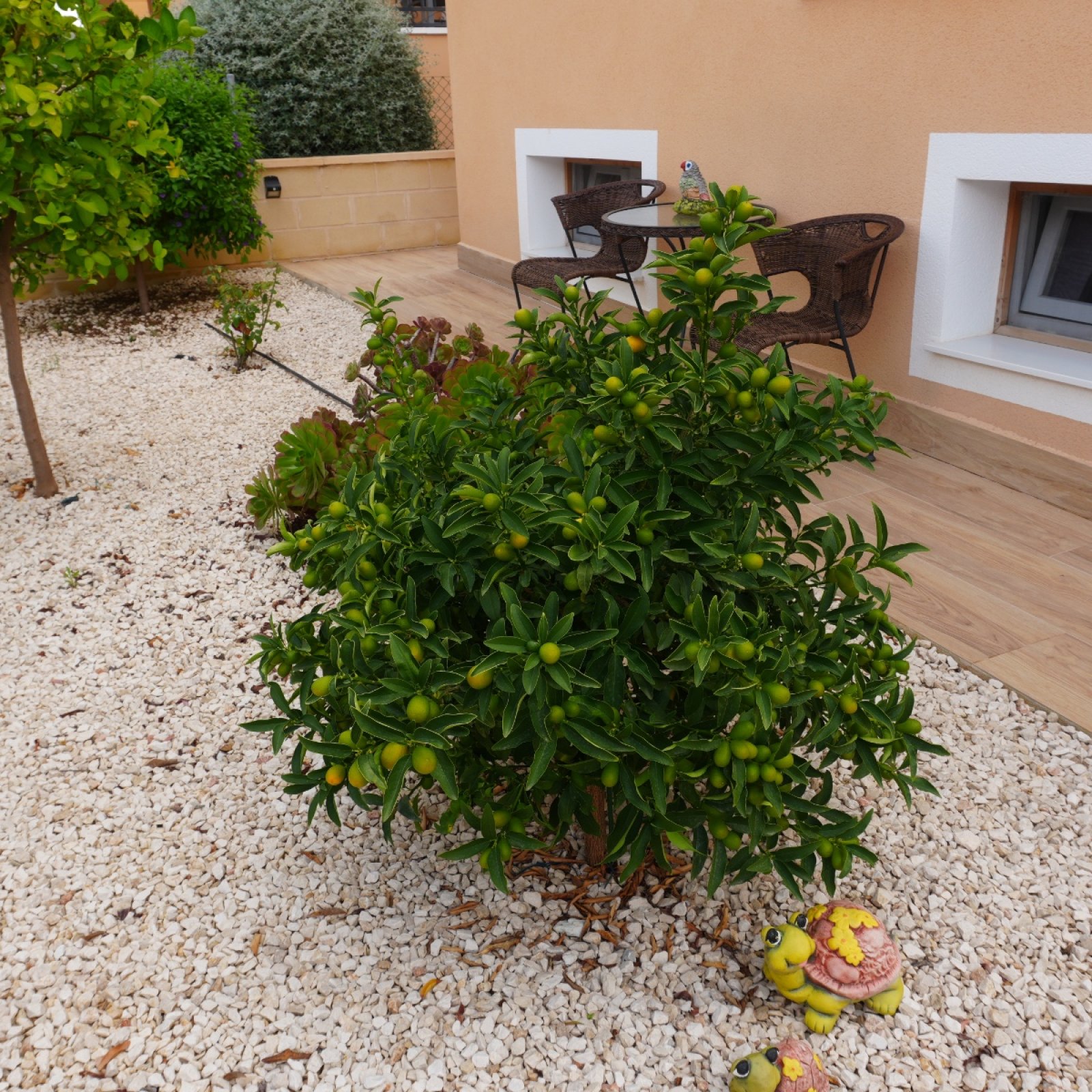 Villa in La Romana-21