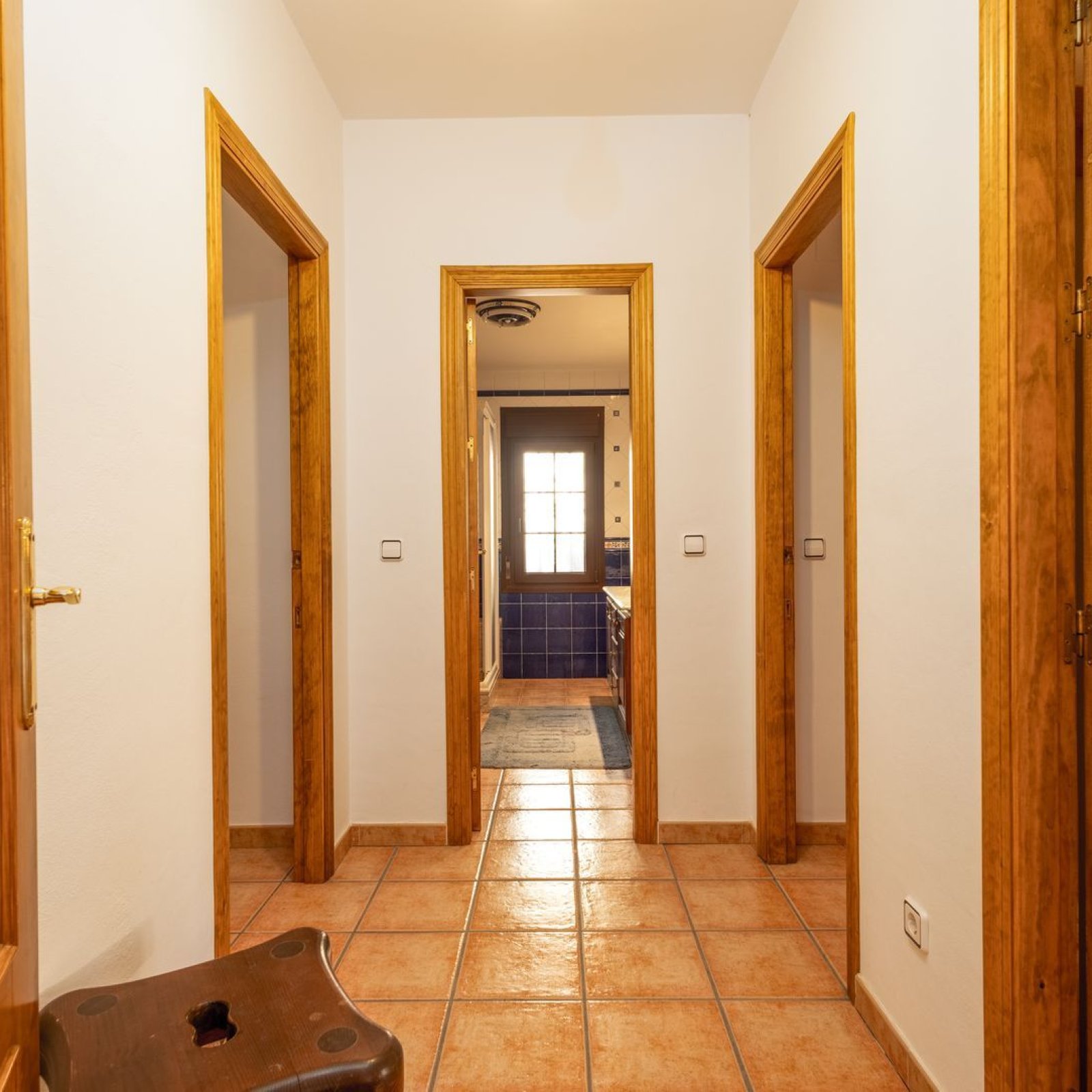 Villa in Vélez de Benaudalla-15