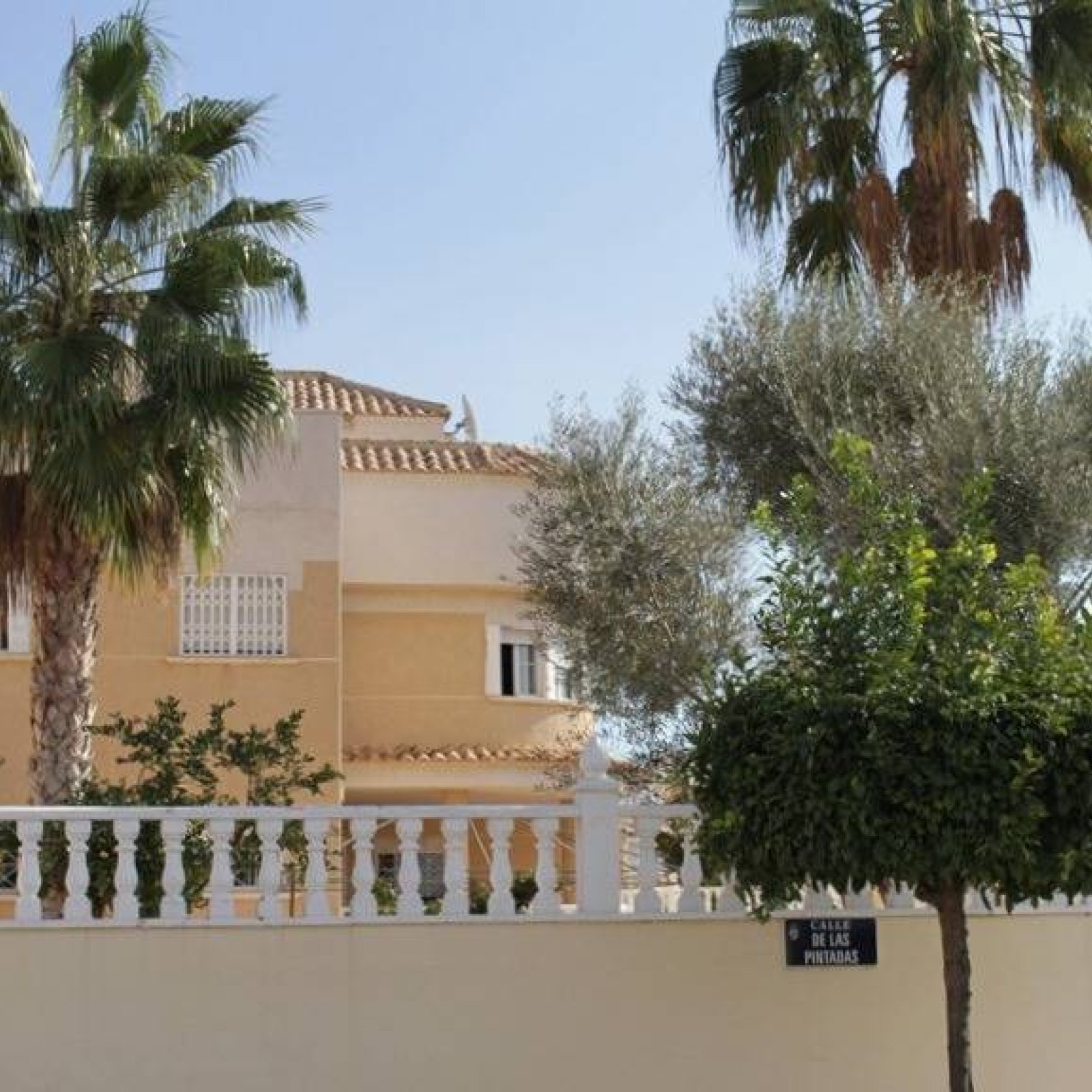 Villa in Torrevieja-1