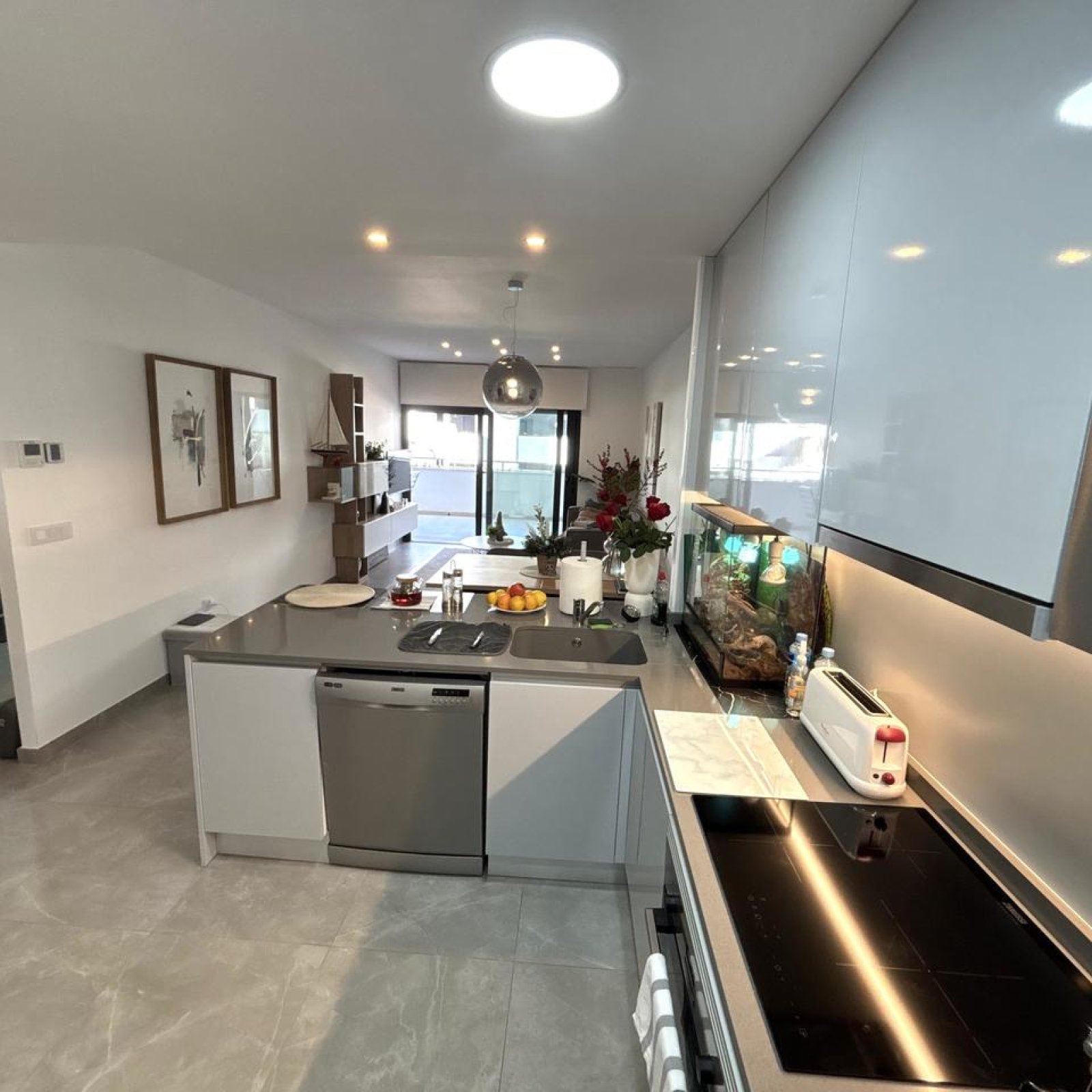 Appartement in Playa Flamenca-10
