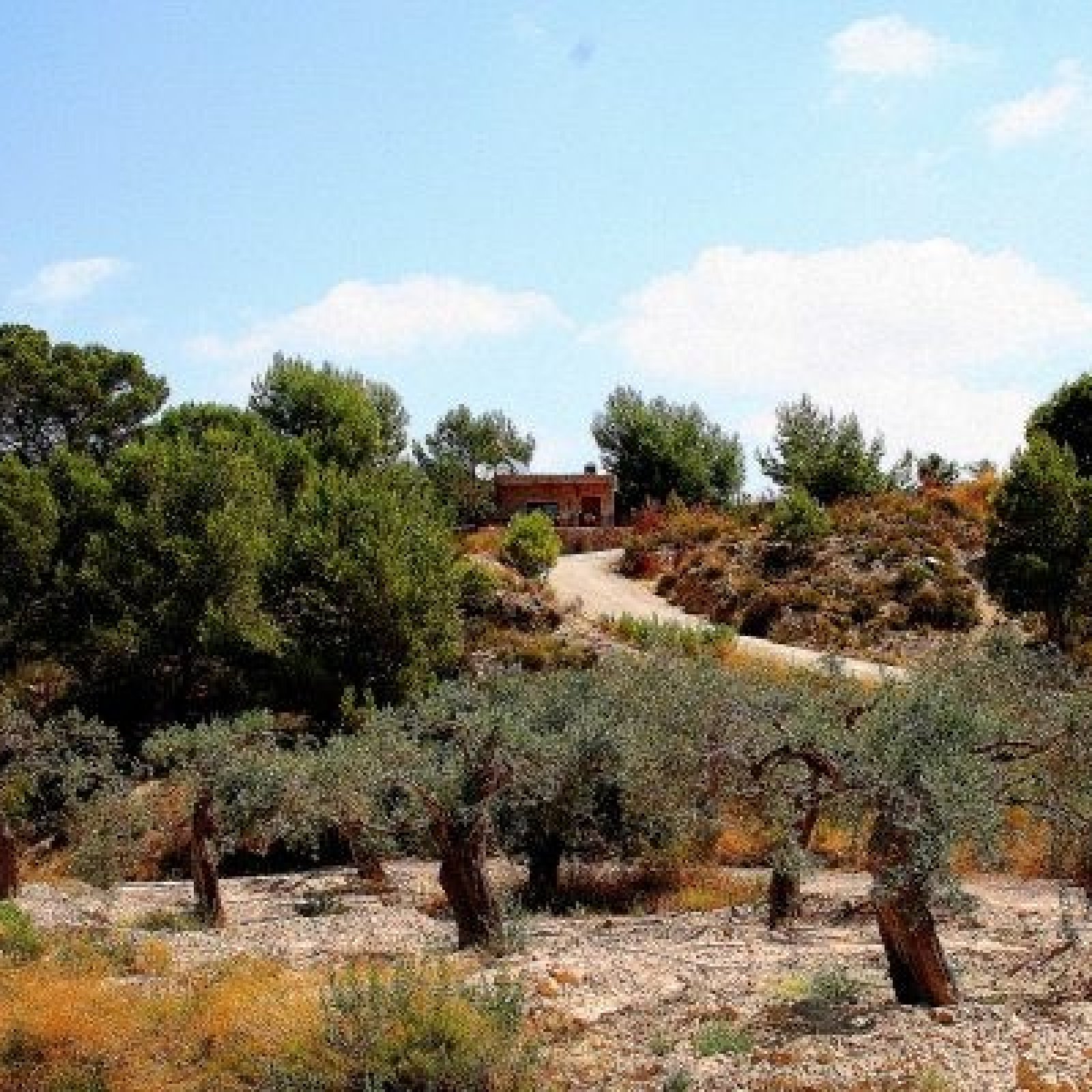 Huis in Murcia-7