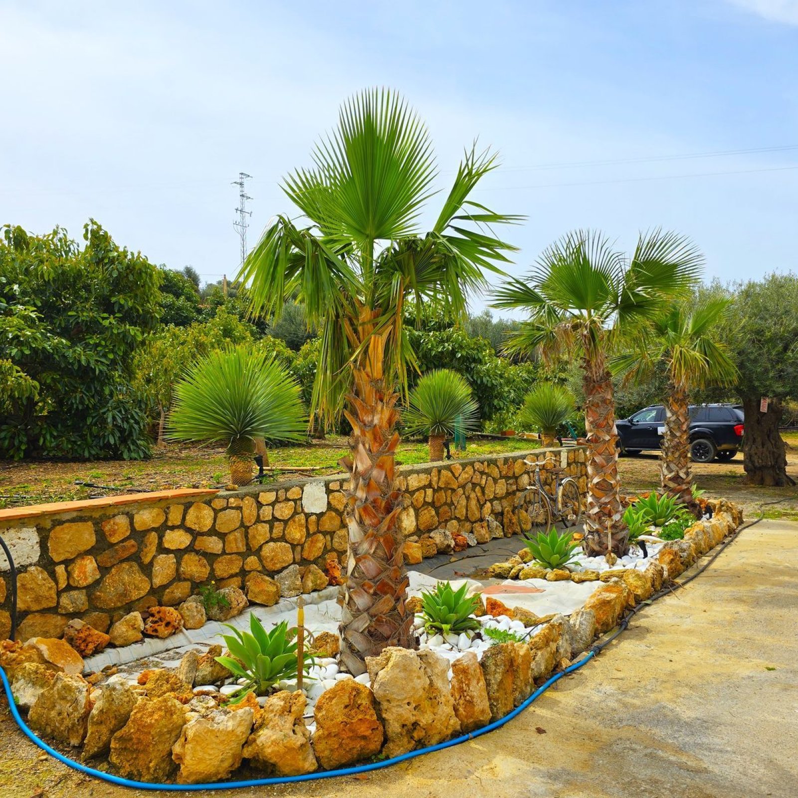 Villa in Vélez de Benaudalla-38