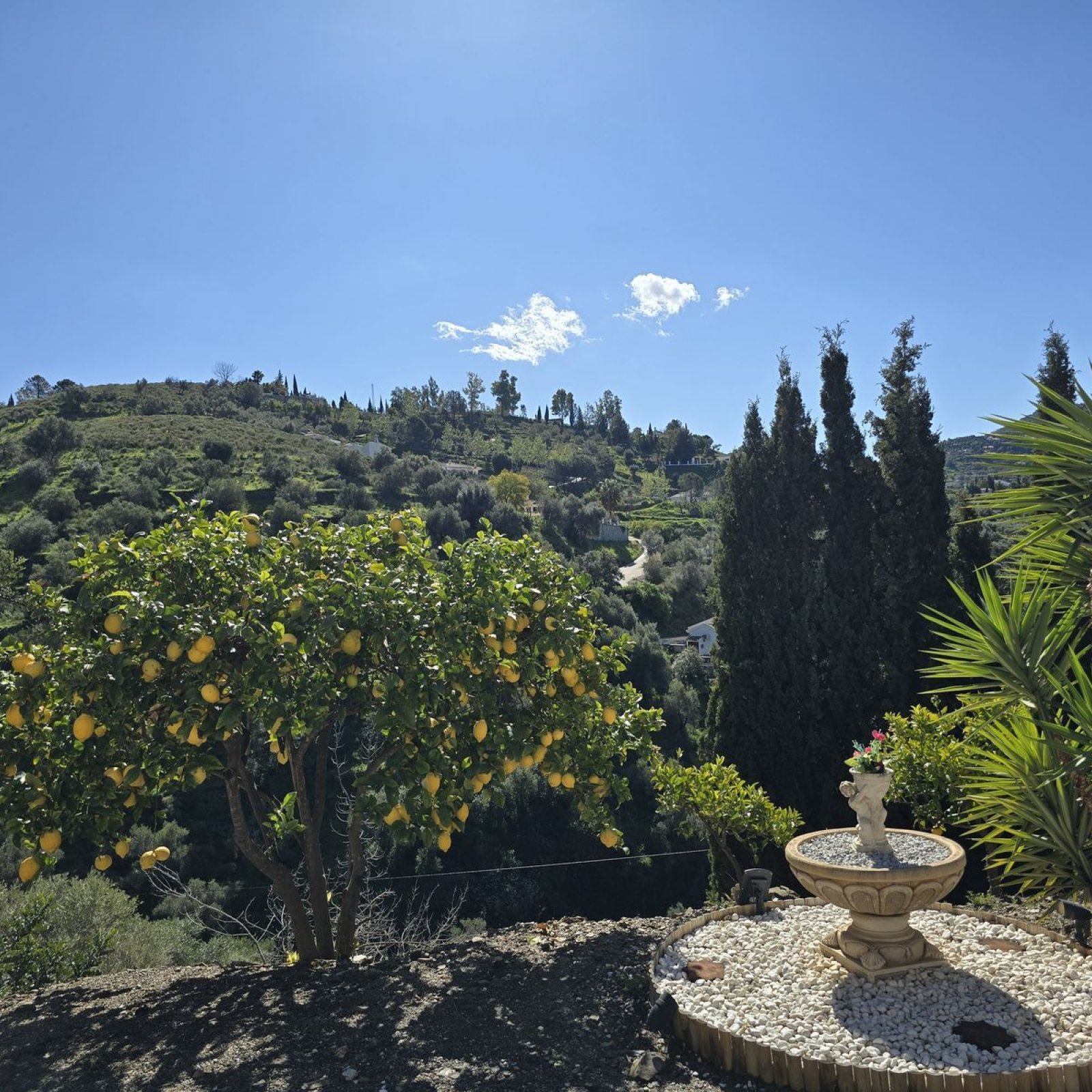 Villa in Cómpeta-45