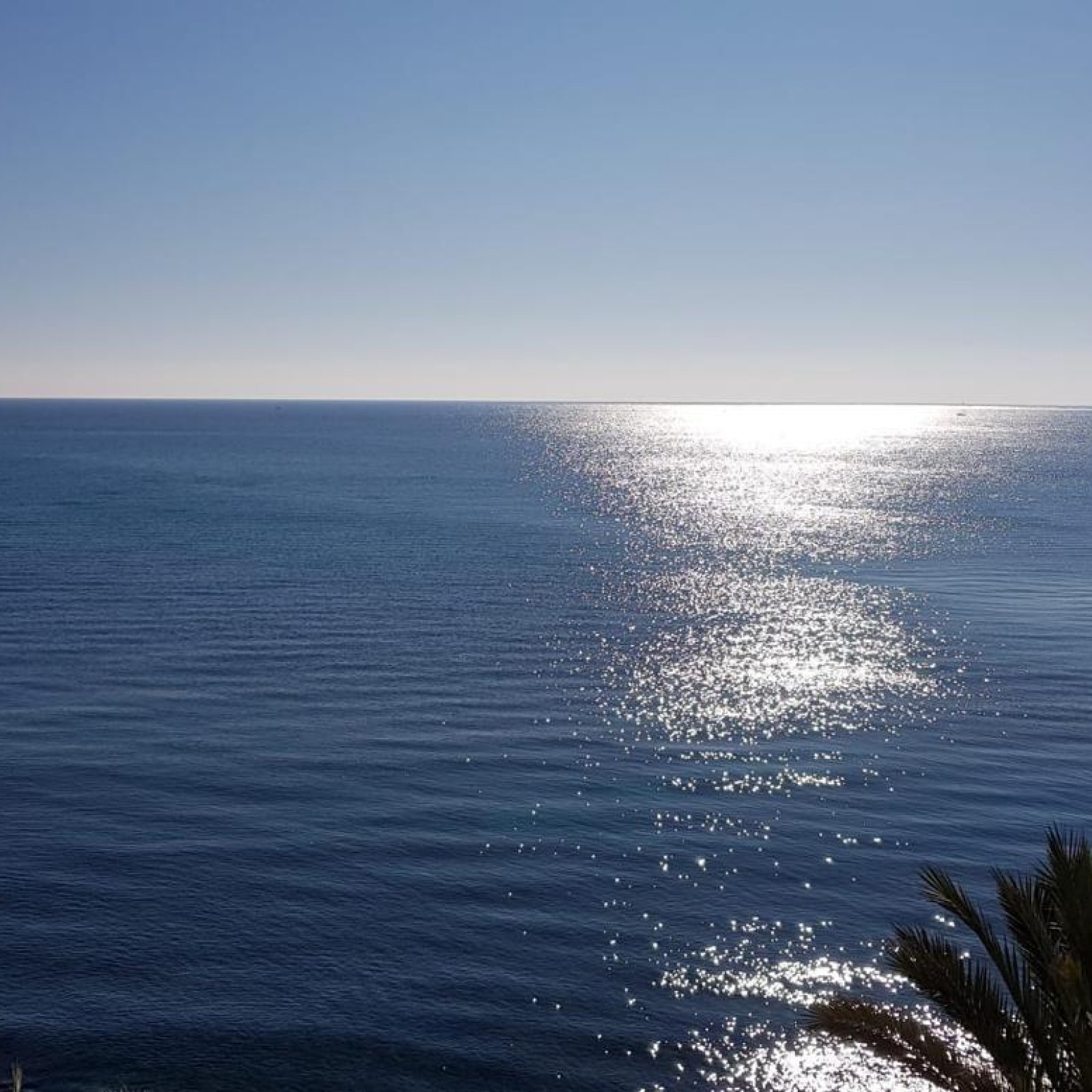 Appartement in Torrevieja-5