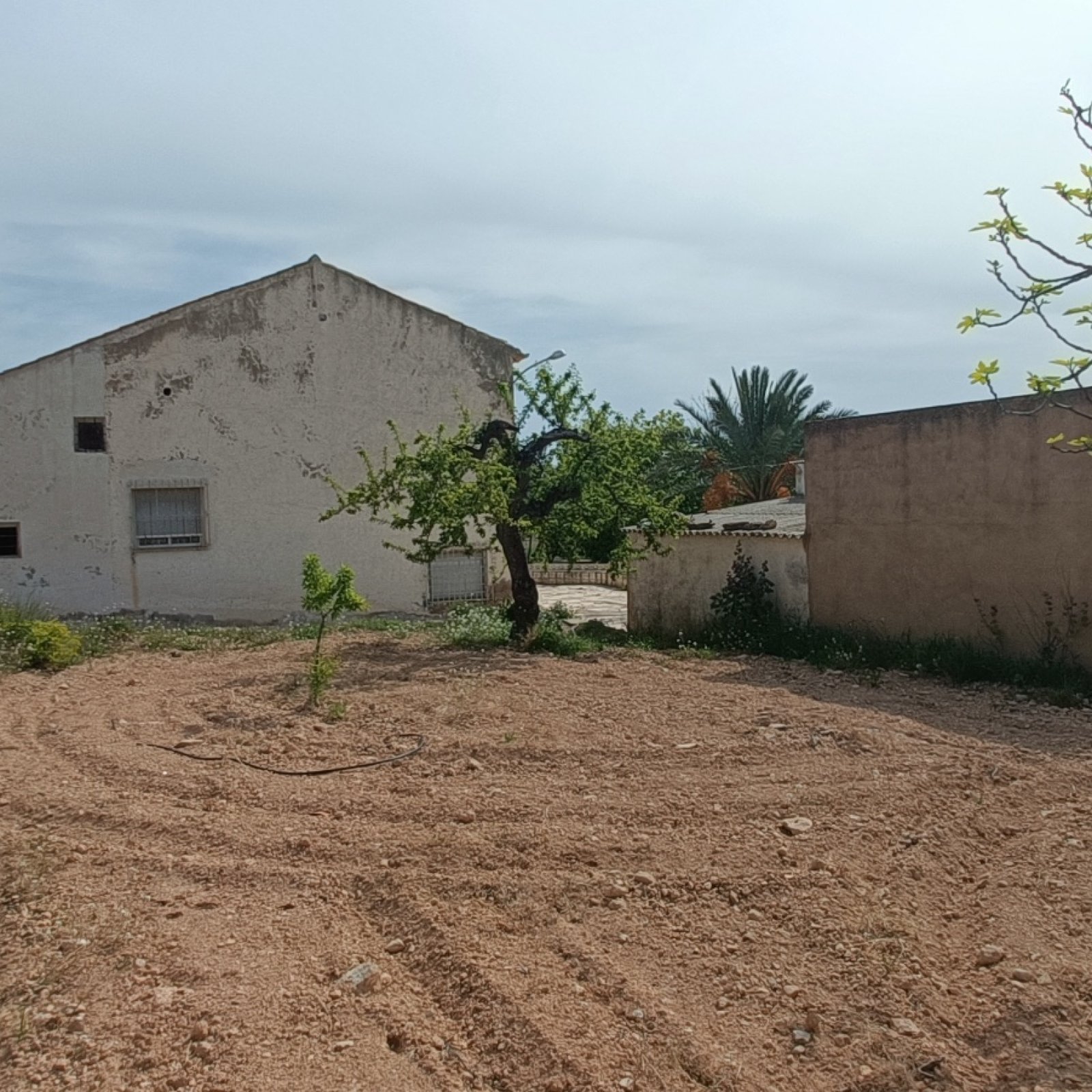 Villa in La Romana-16