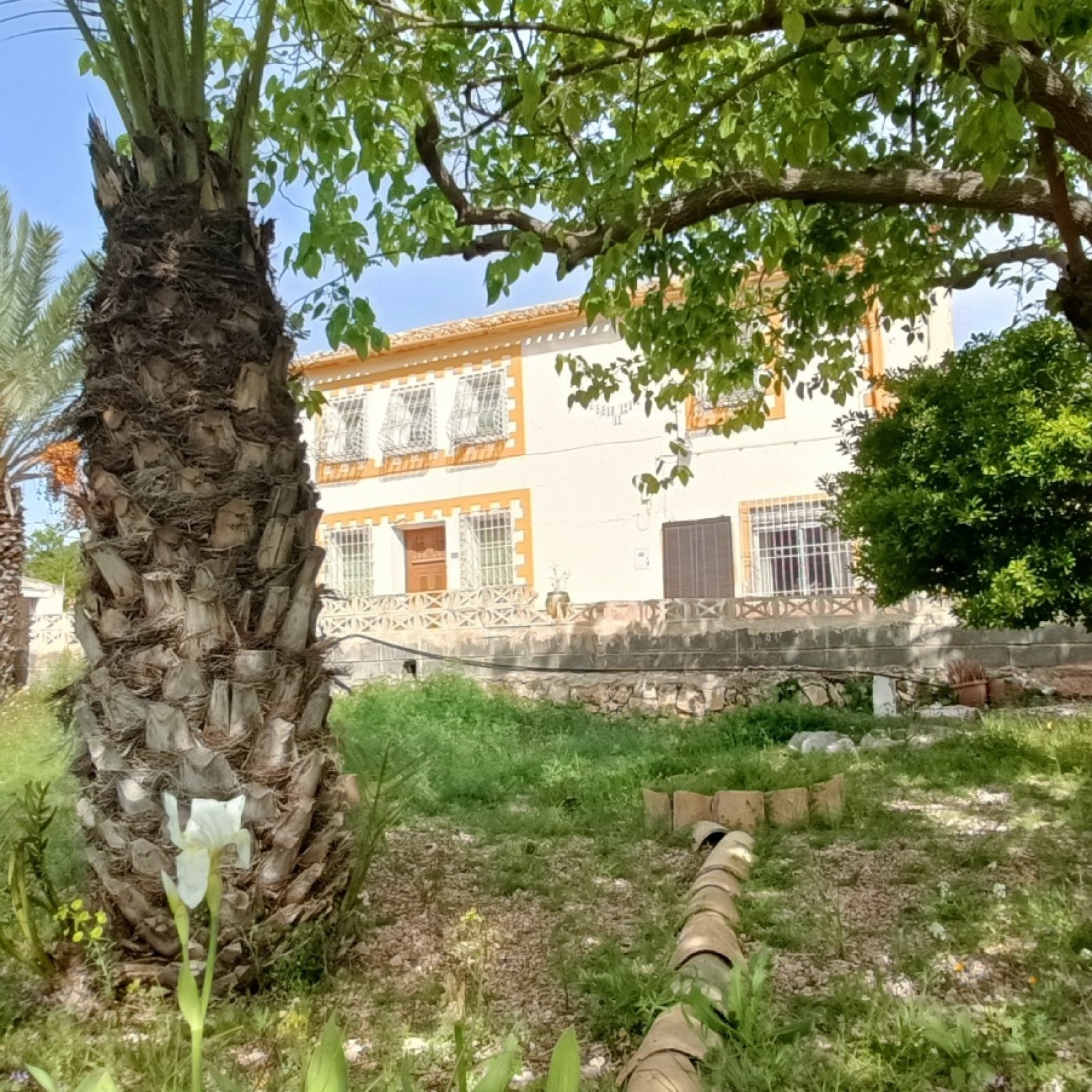 Villa in La Romana-12