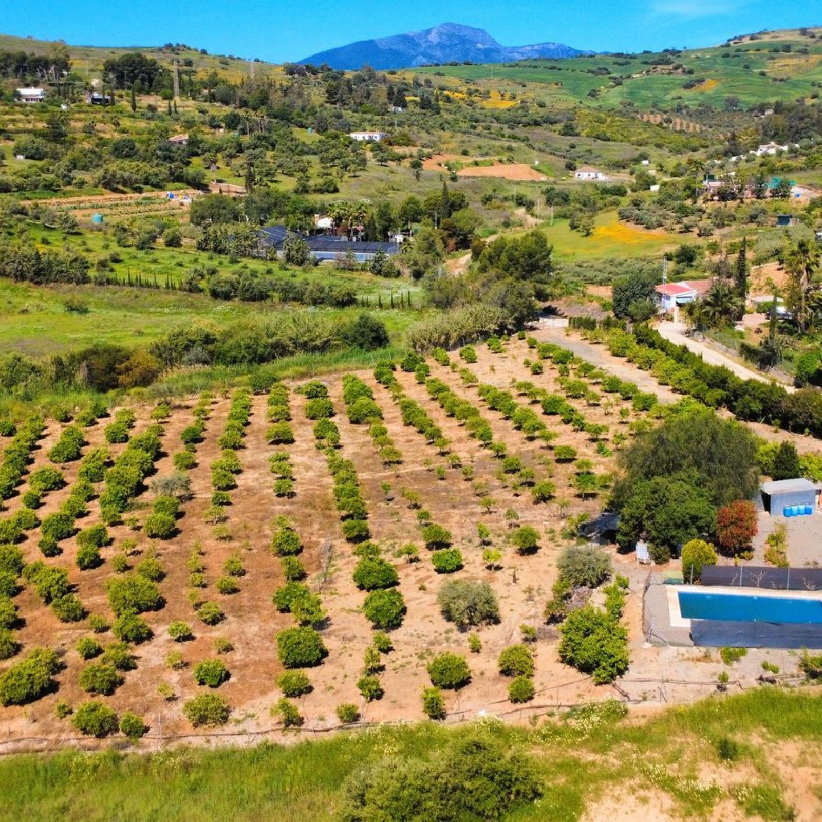 Villa in Pizarra-14