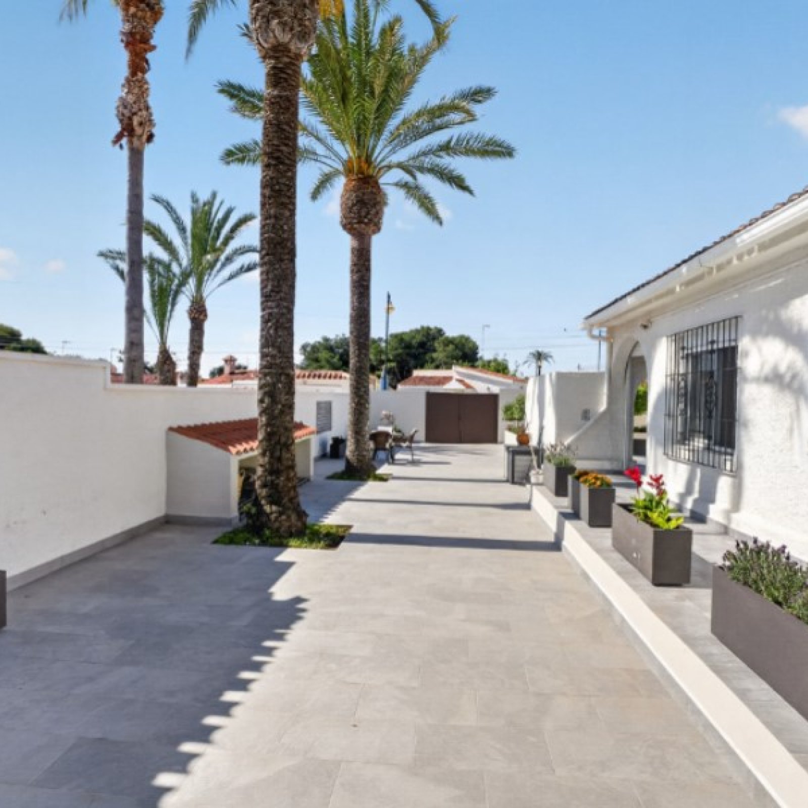 Villa in Torrevieja-4