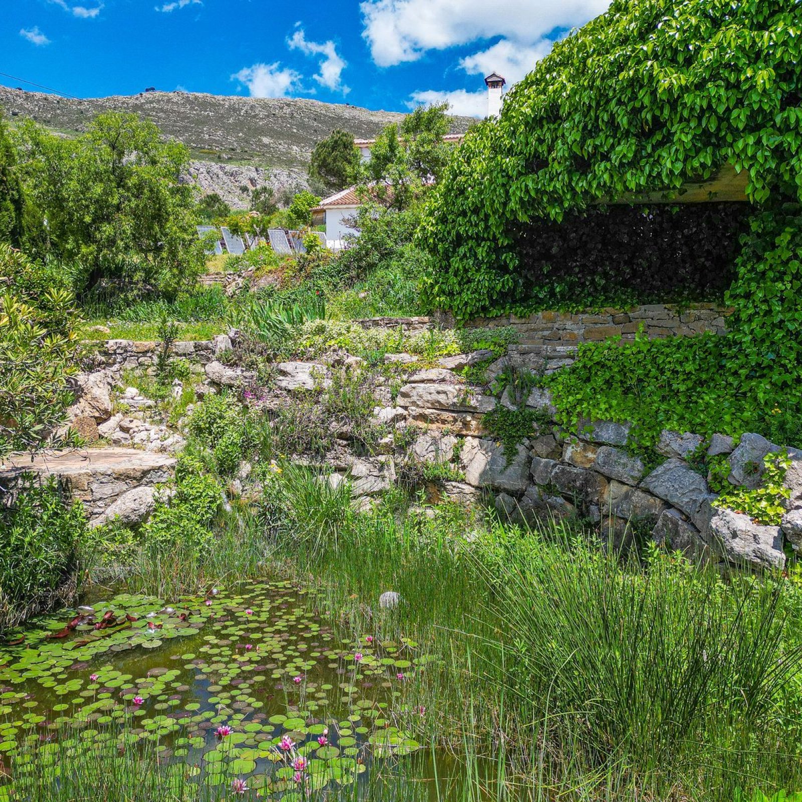 Villa in Periana-57