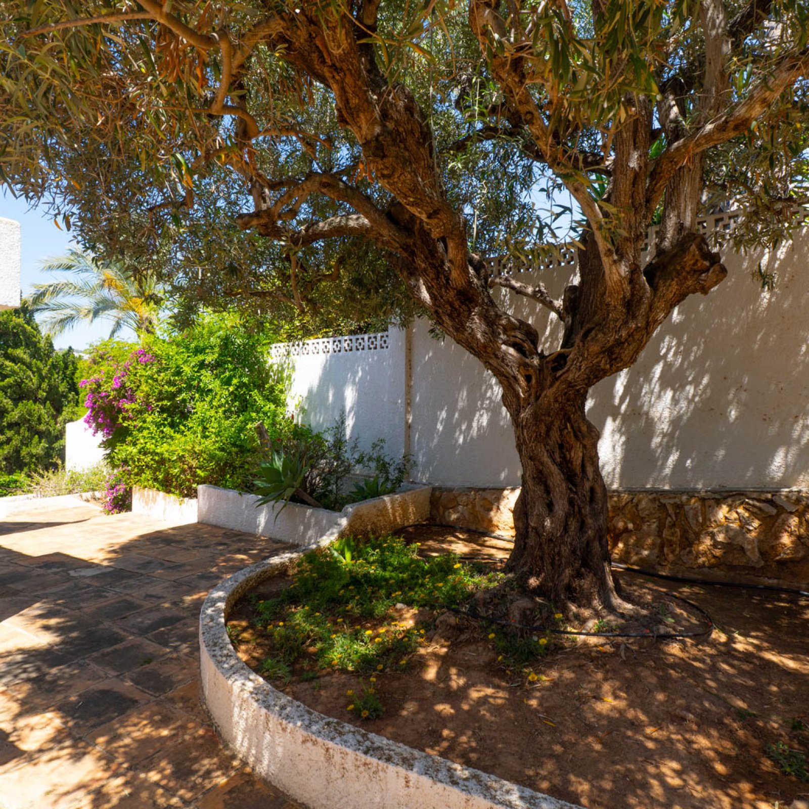Villa in -14