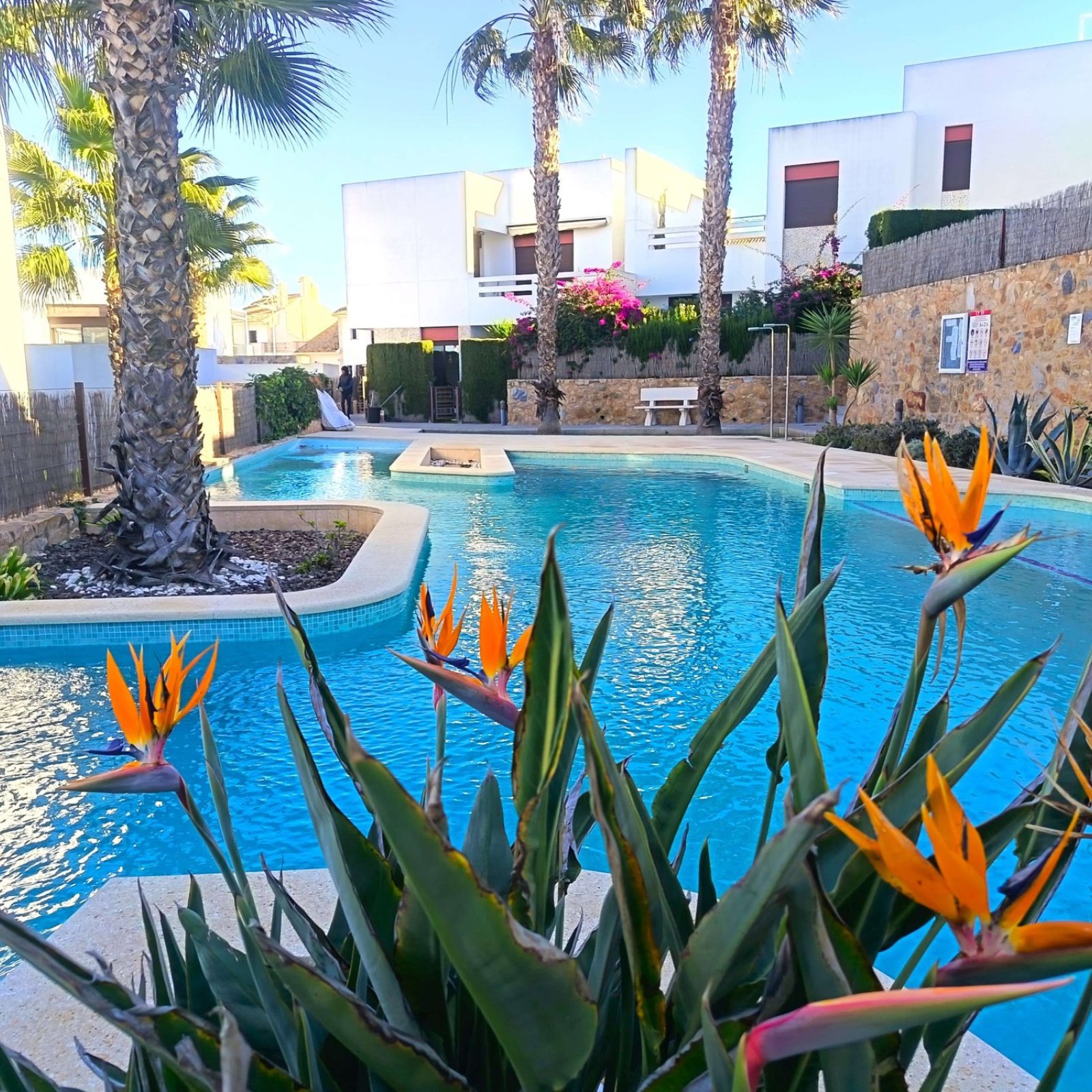 Appartement in Algorfa-35