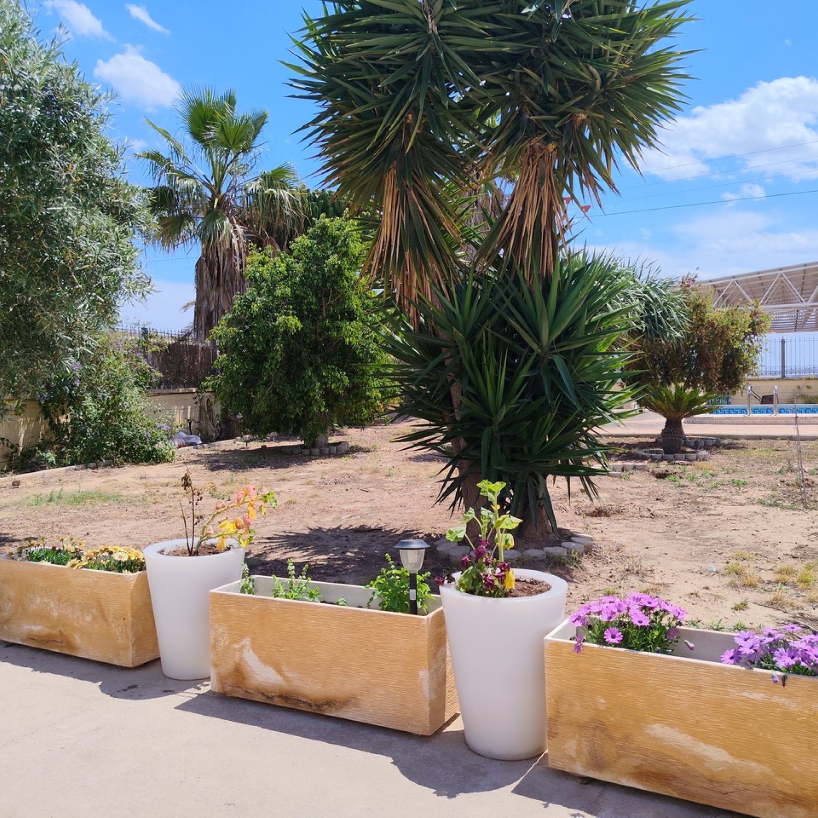 Villa in Los Montesinos-11