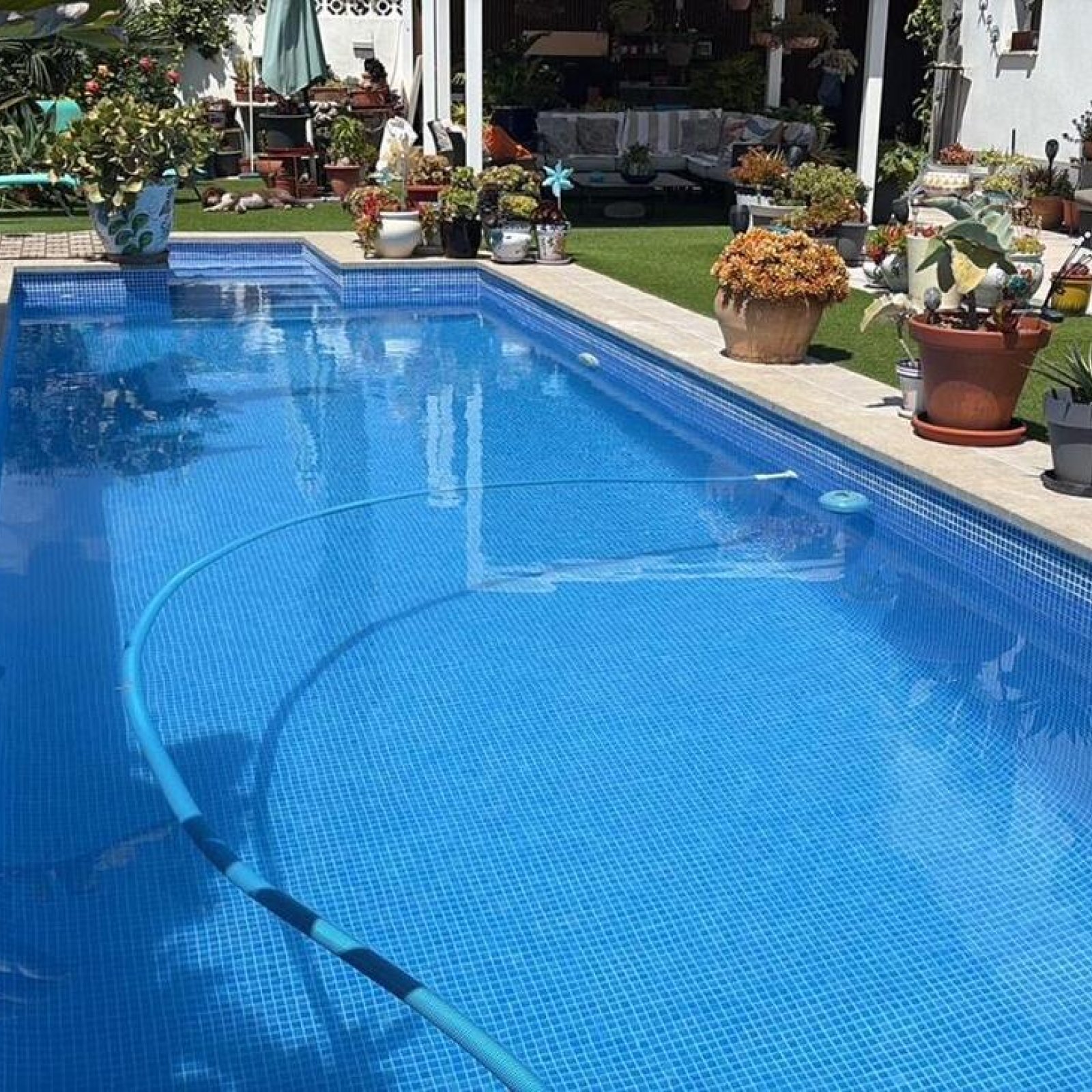 Villa in Torrevieja-2