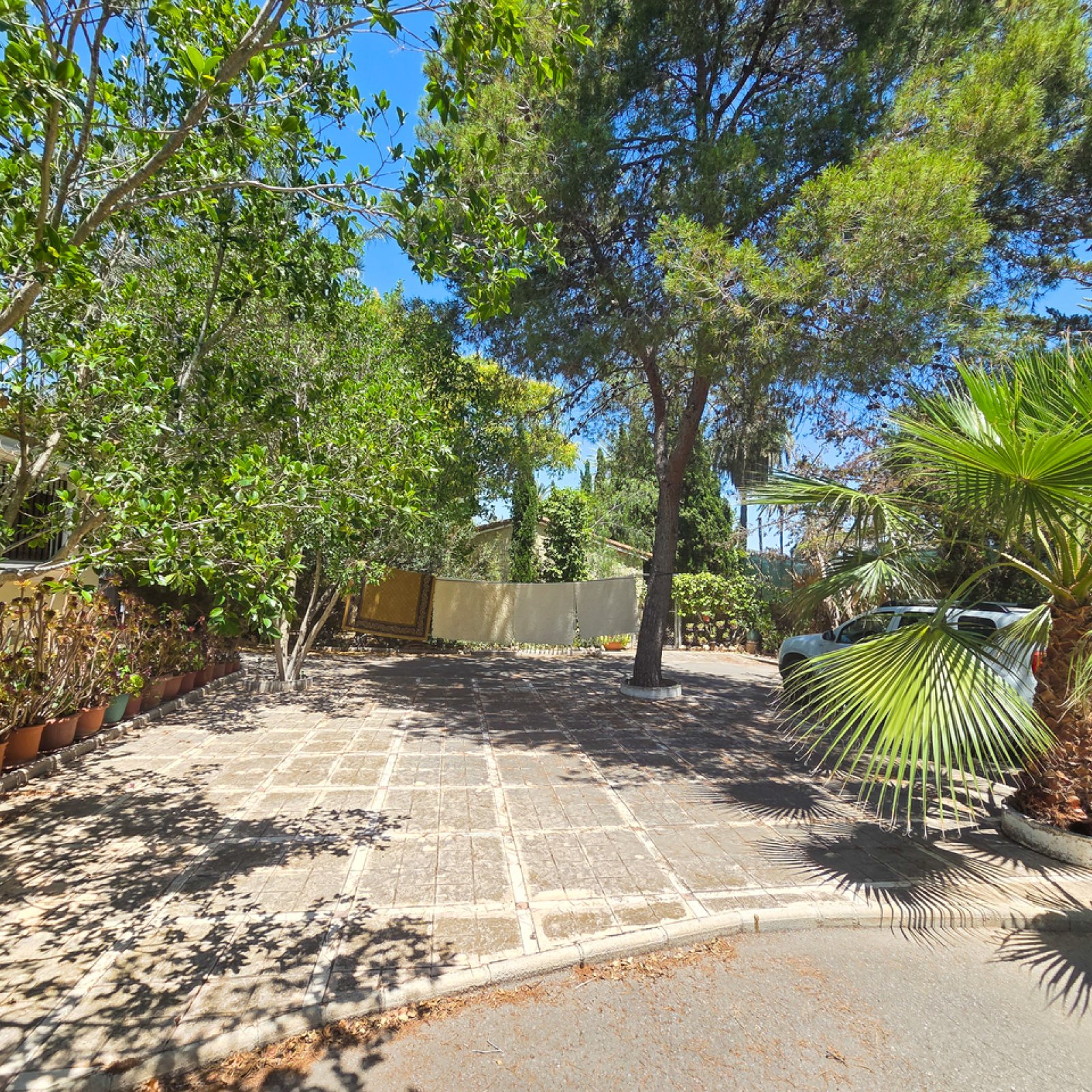 Villa in Elche-6