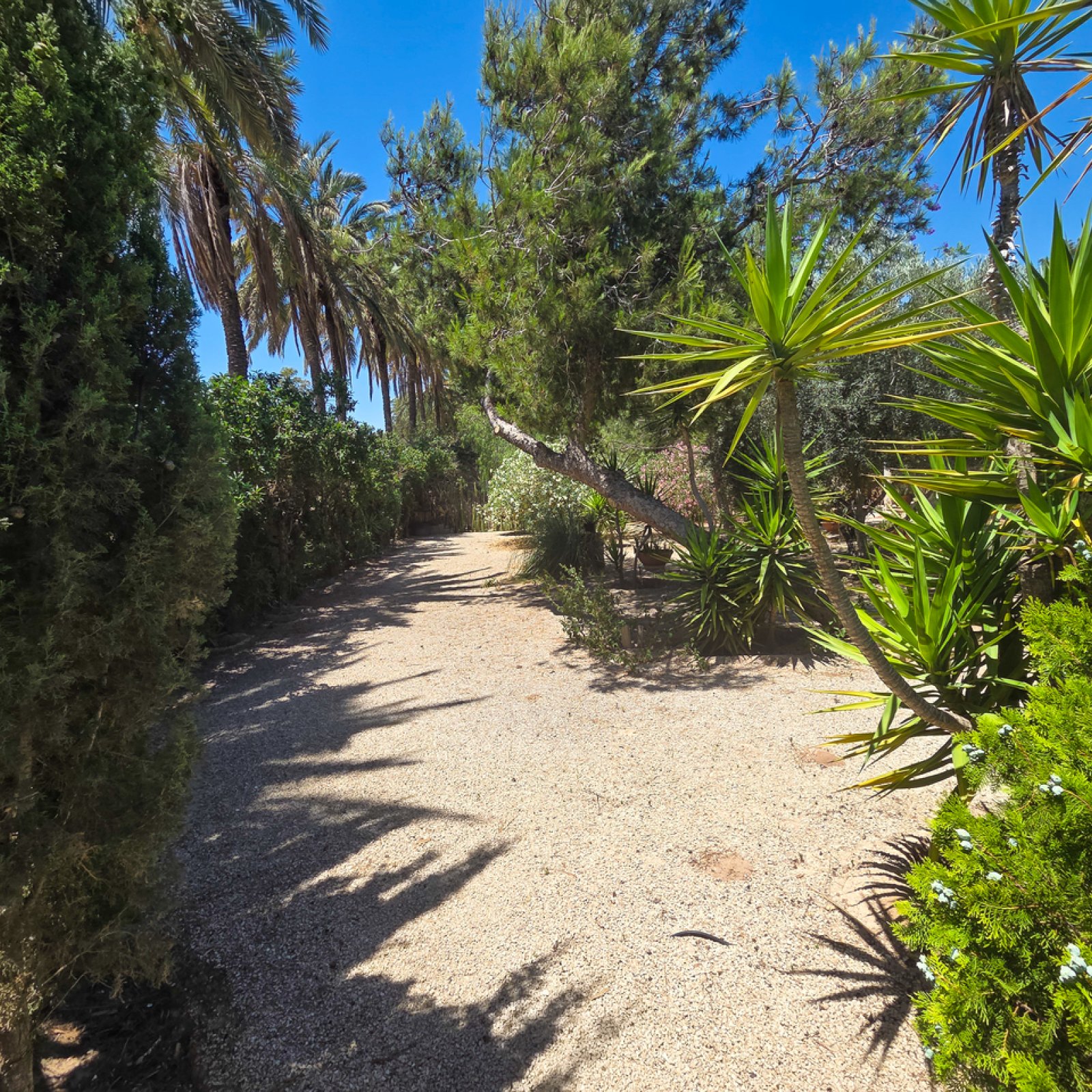 Villa in Elche-5