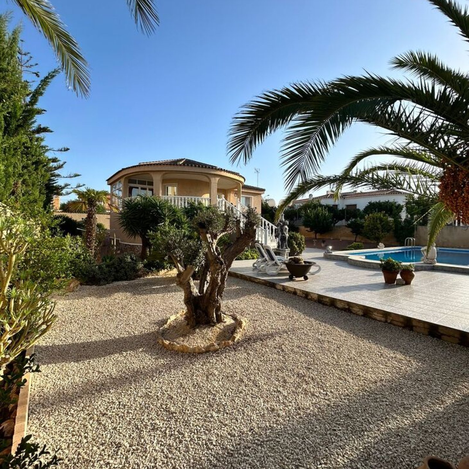 Villa in Torrevieja-2