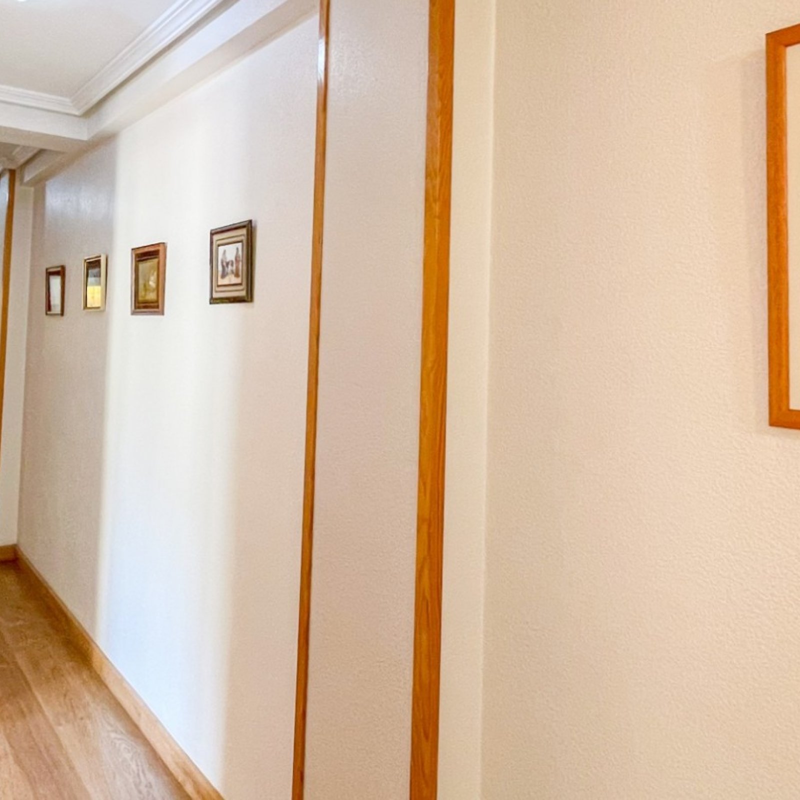 Appartement in Torrevieja-2