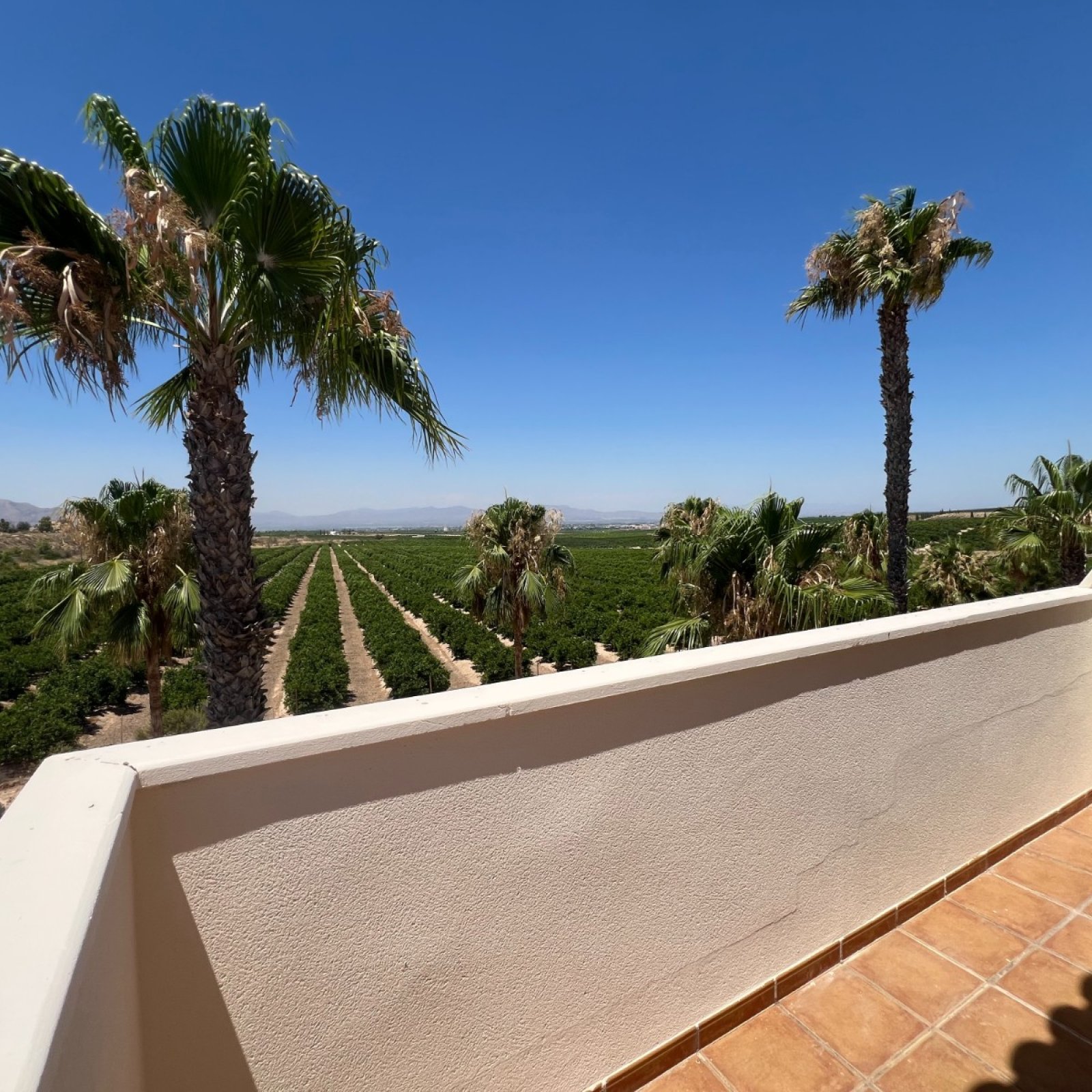 Villa in Algorfa-24