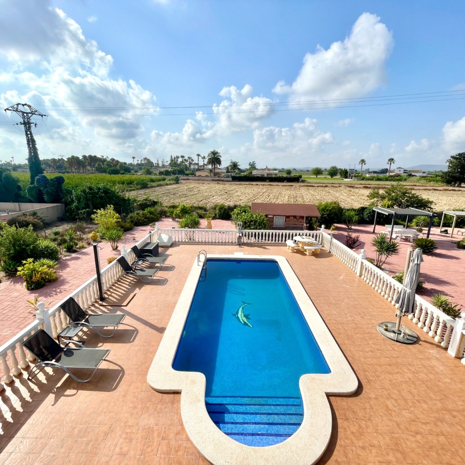 Villa in Catral-6