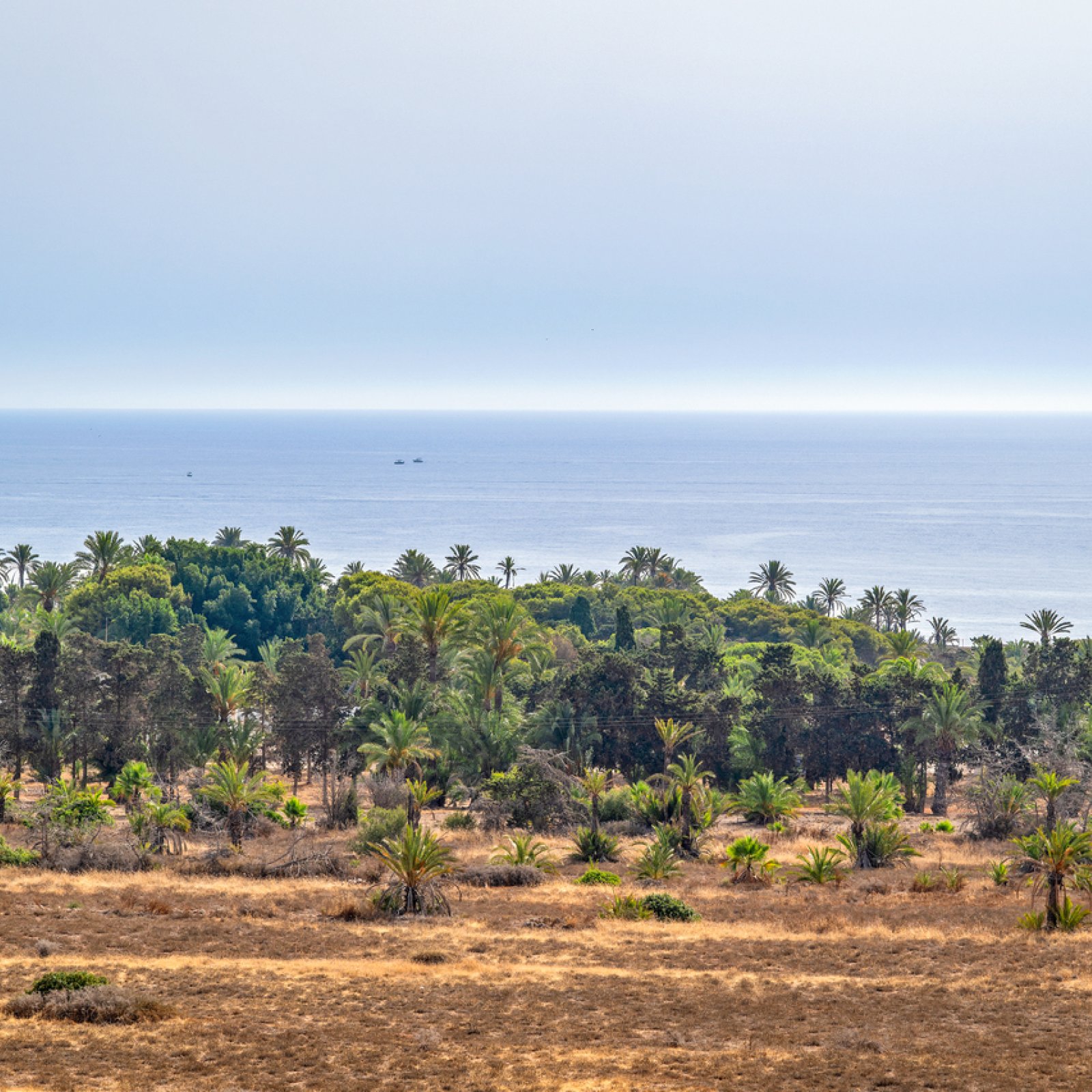 Penthouse in Punta Prima-23