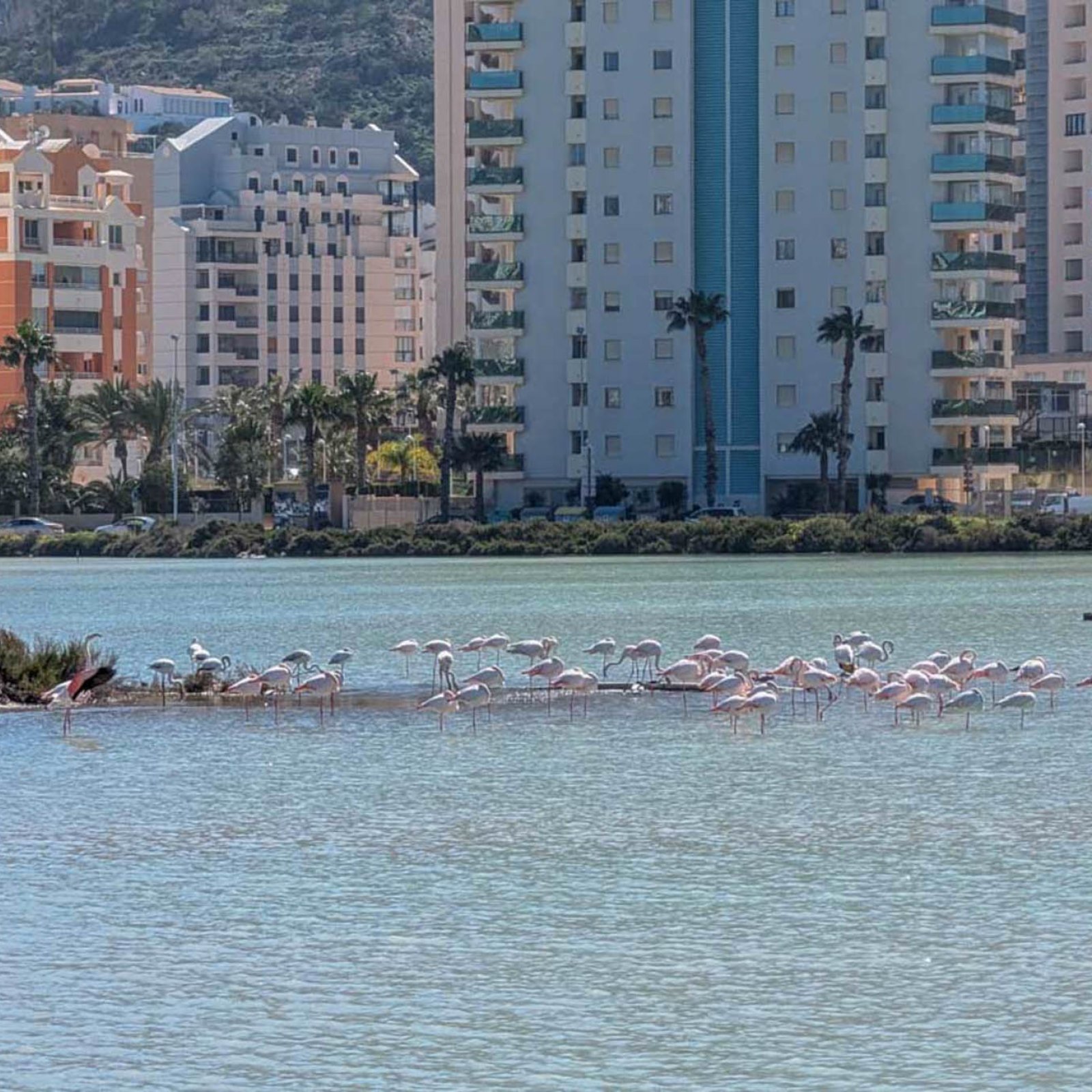 Villa in Calpe-30
