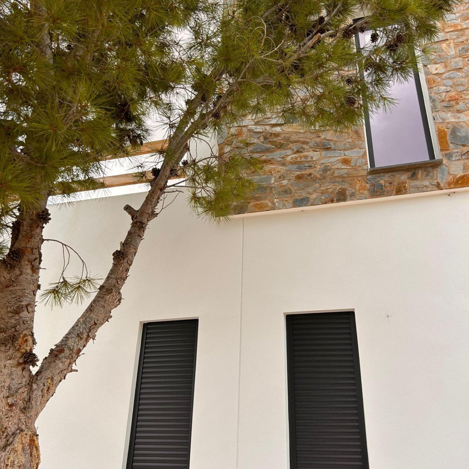 Op maat gebouwde nieuwe villa’s in Pinoso (Alicante): ruime woningen in een natuurlijke omgeving-30