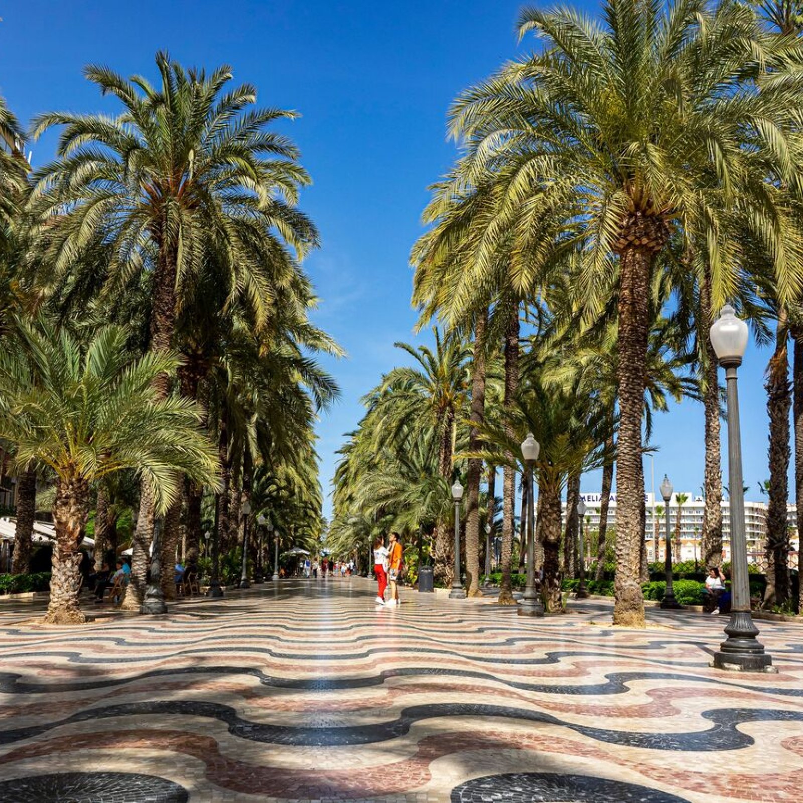 Appartement in Alicante-6