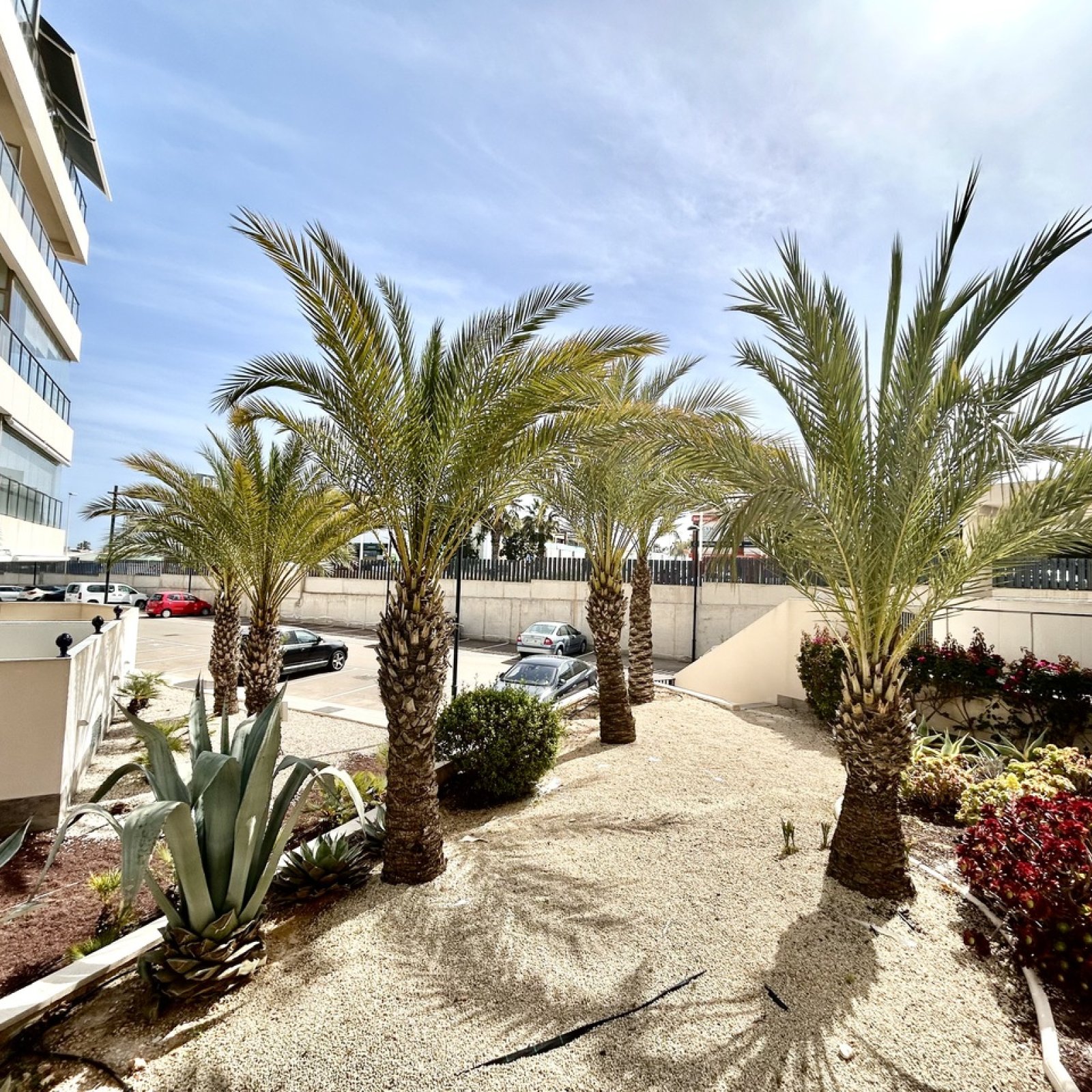 Penthouse in Los Dolses-22