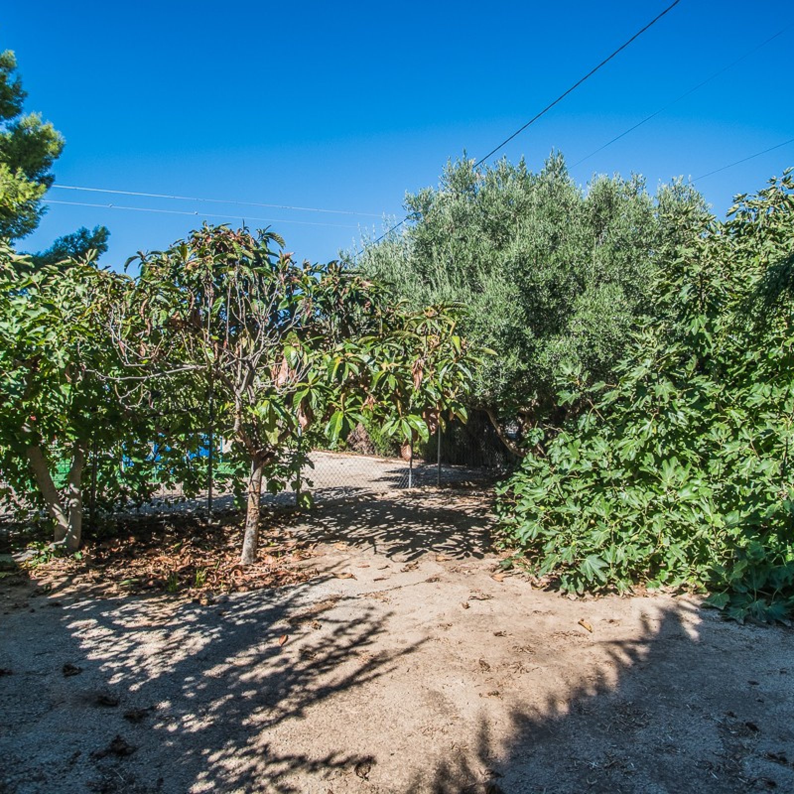 Villa in Orihuela-15