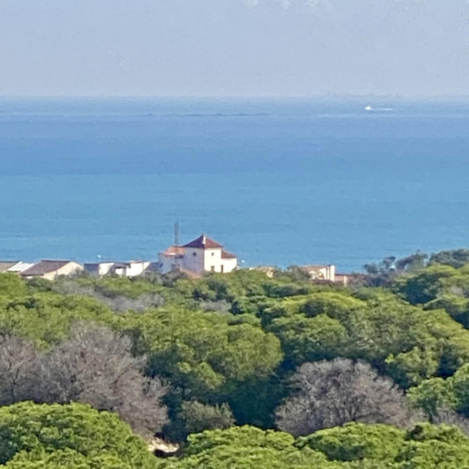 Luxe nieuwbouwwoningen vlak bij het strand in Guardamar del Segura-19