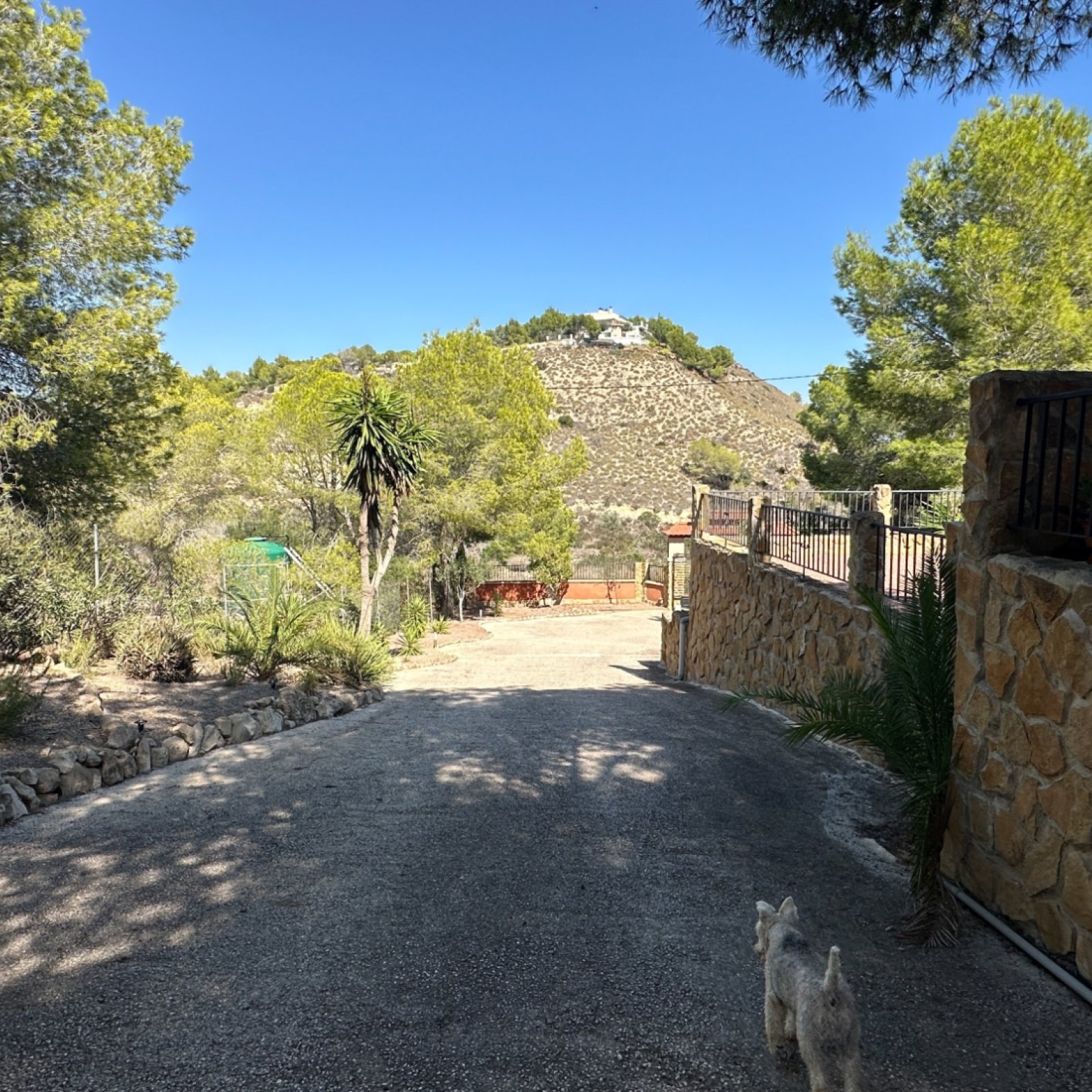 Villa in San Miguel de Salinas-24