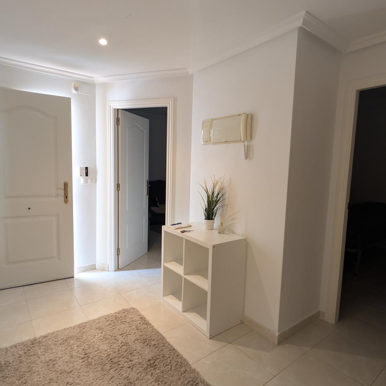 Villa in Algorfa-2