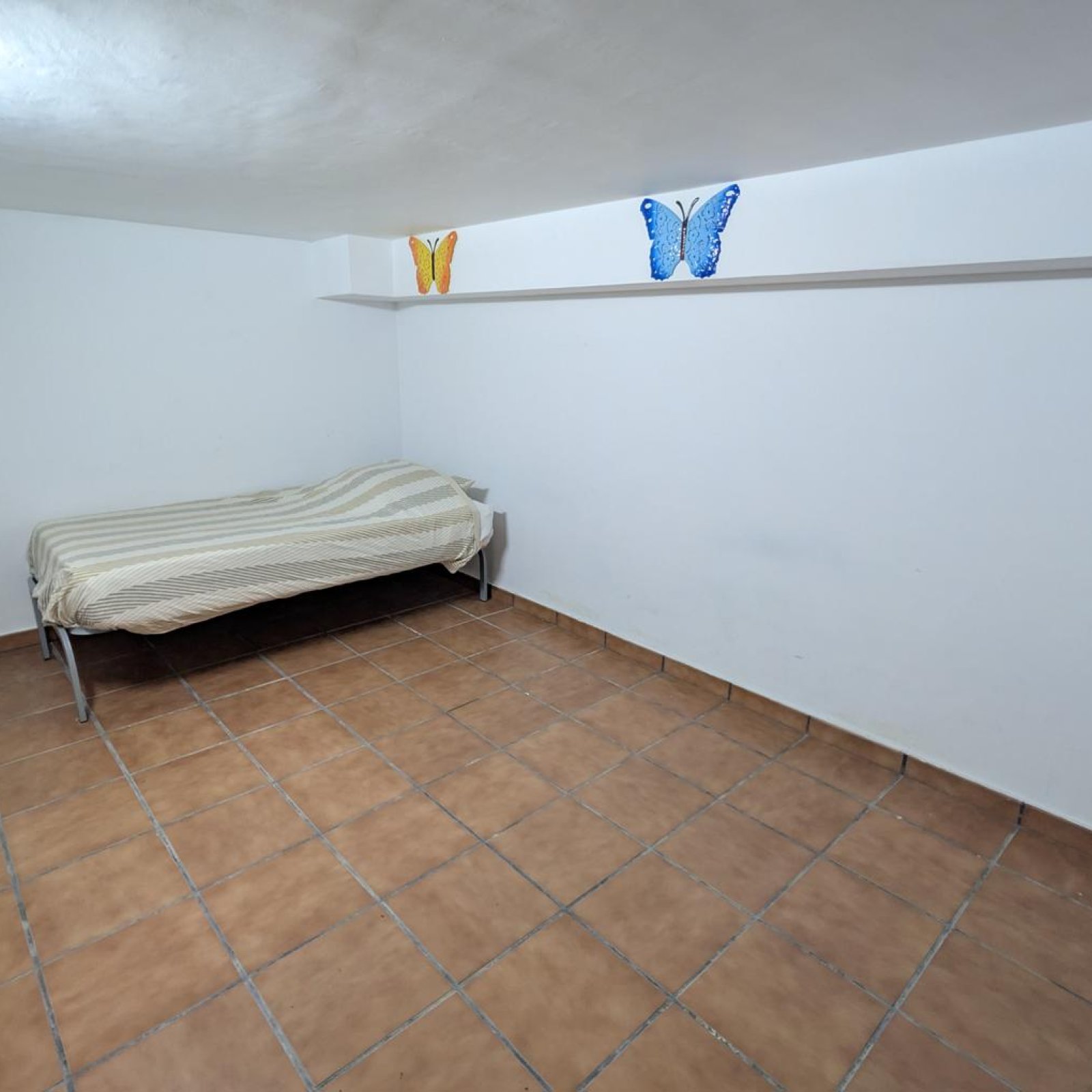 Villa in Algorfa-33