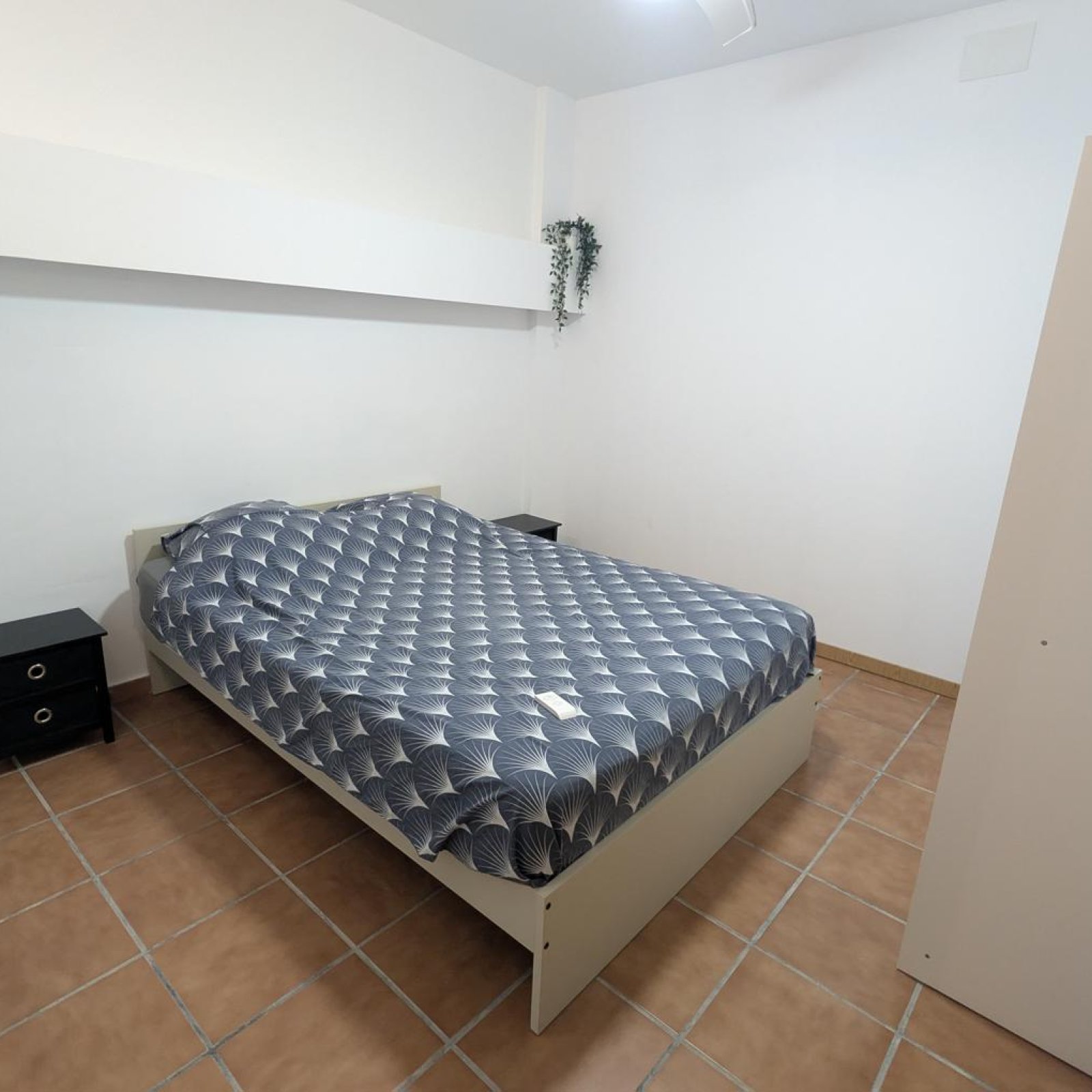 Villa in Algorfa-34