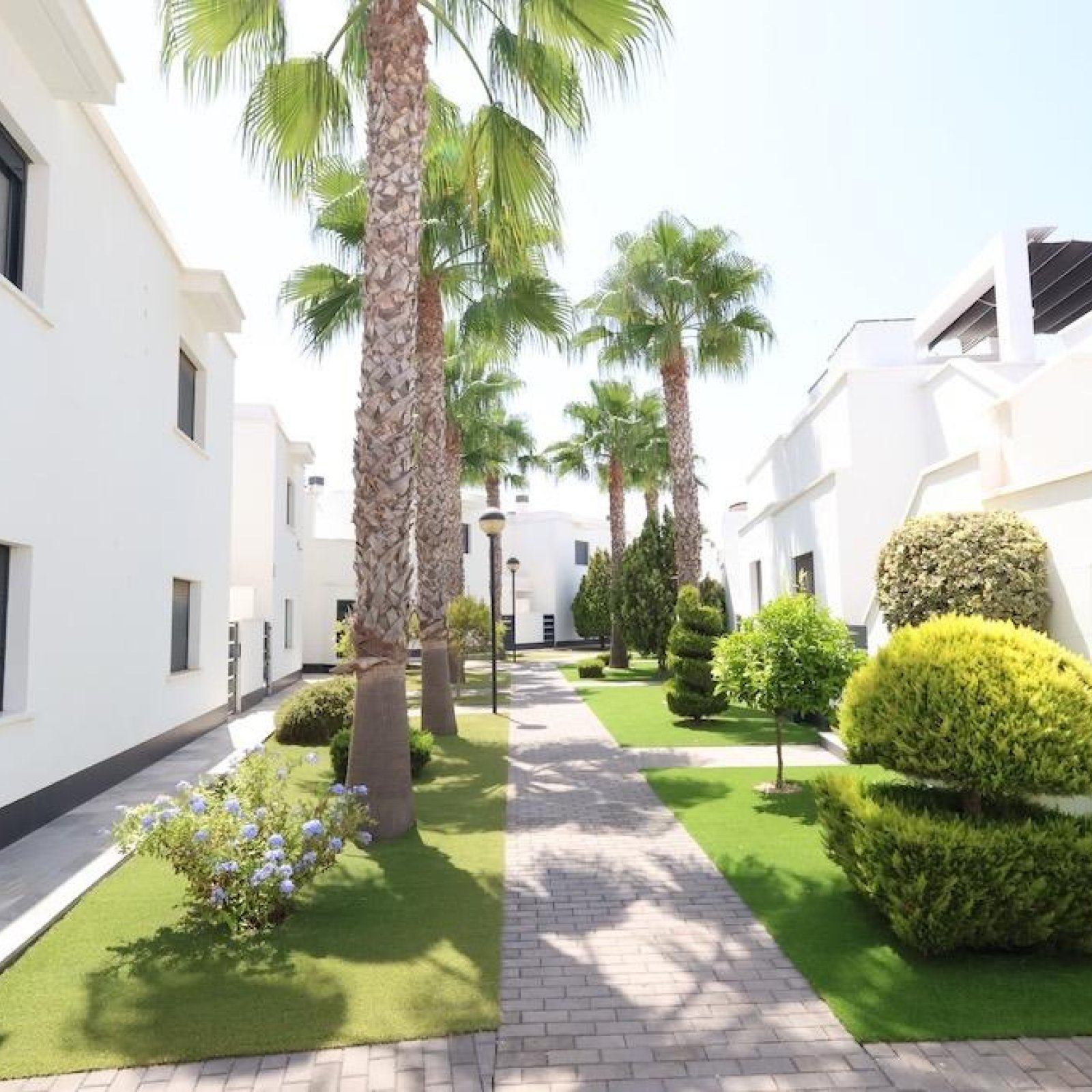 Duplex in Orihuela Costa-19