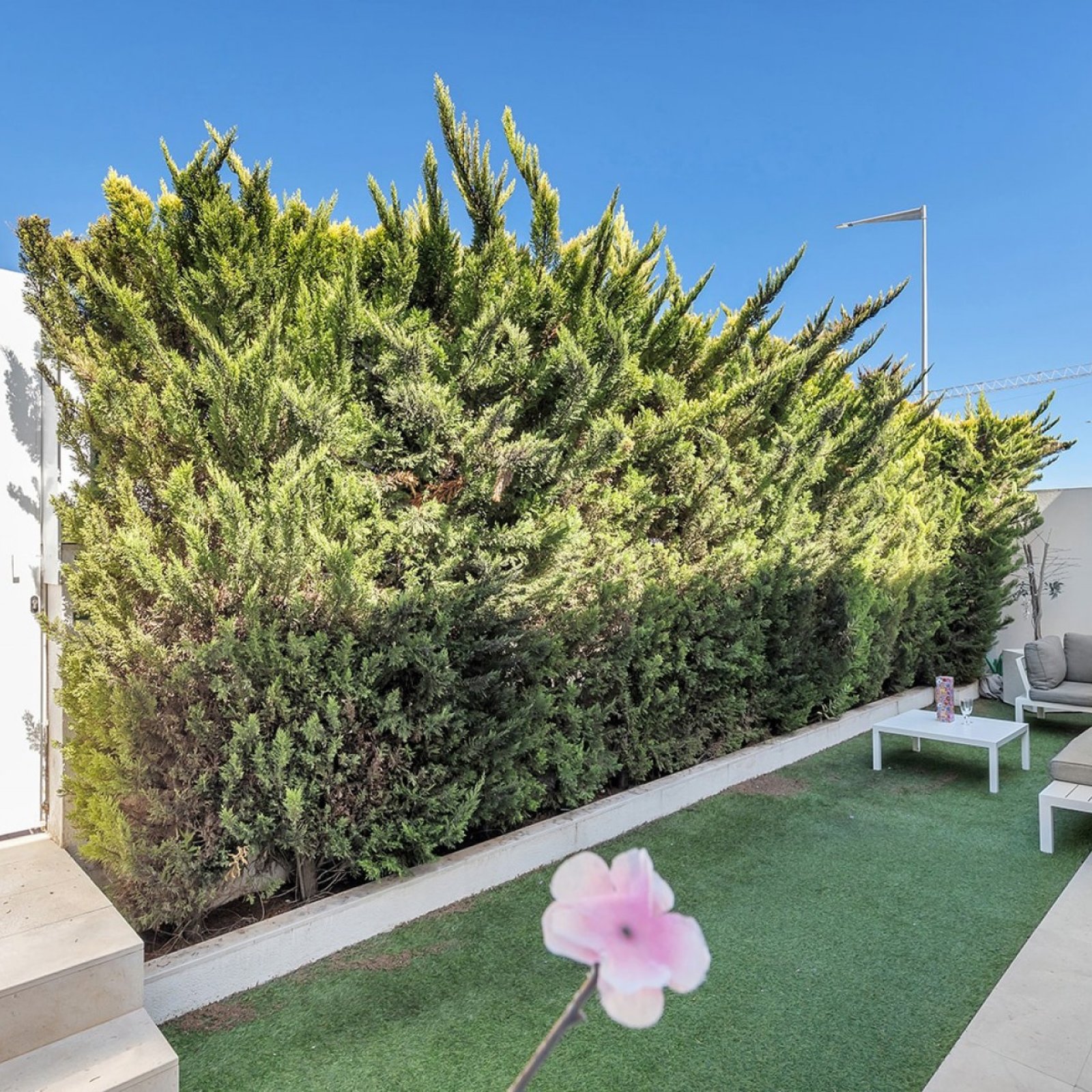 Appartement in Torrevieja-12