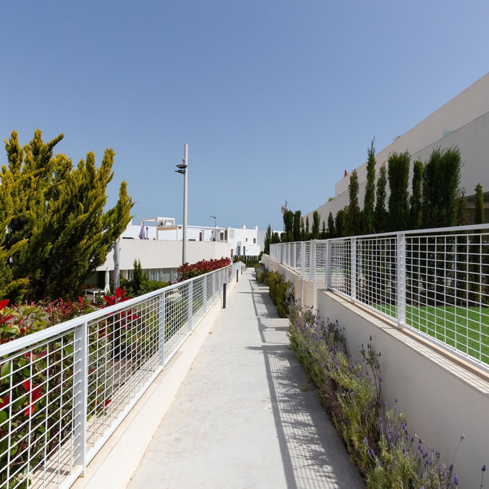 Appartement in Torrevieja-17