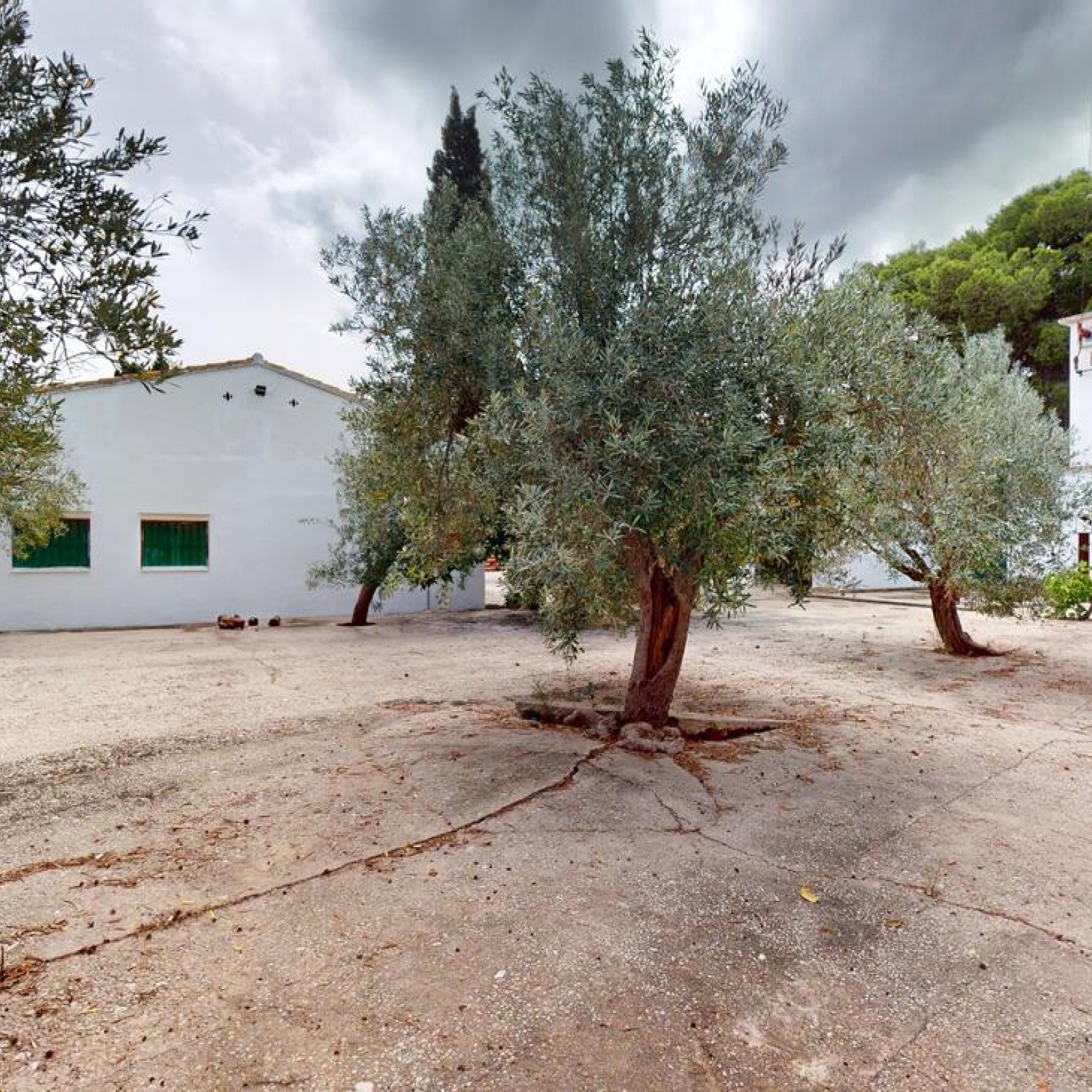 Appartement in El Vergel-19