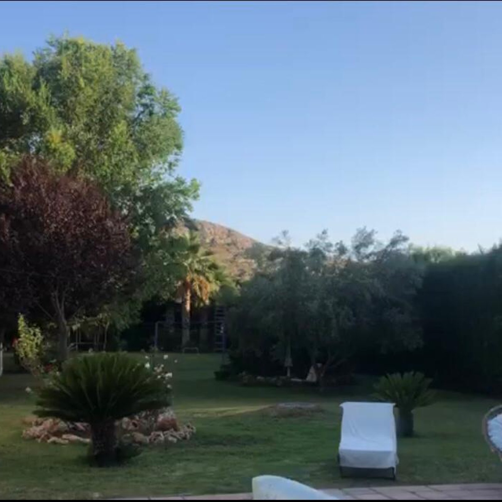 Villa in Elda-7