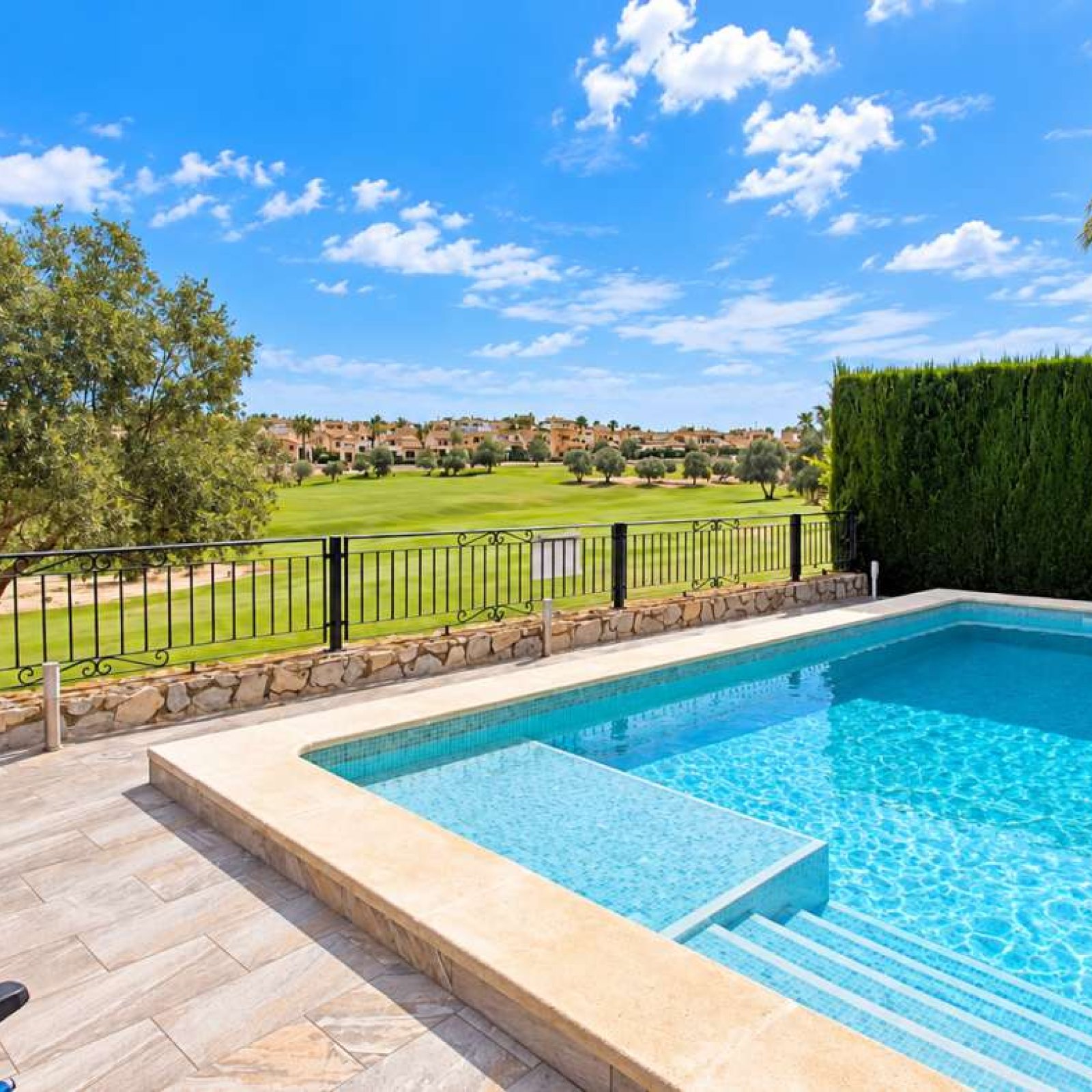 Villa in Algorfa-2